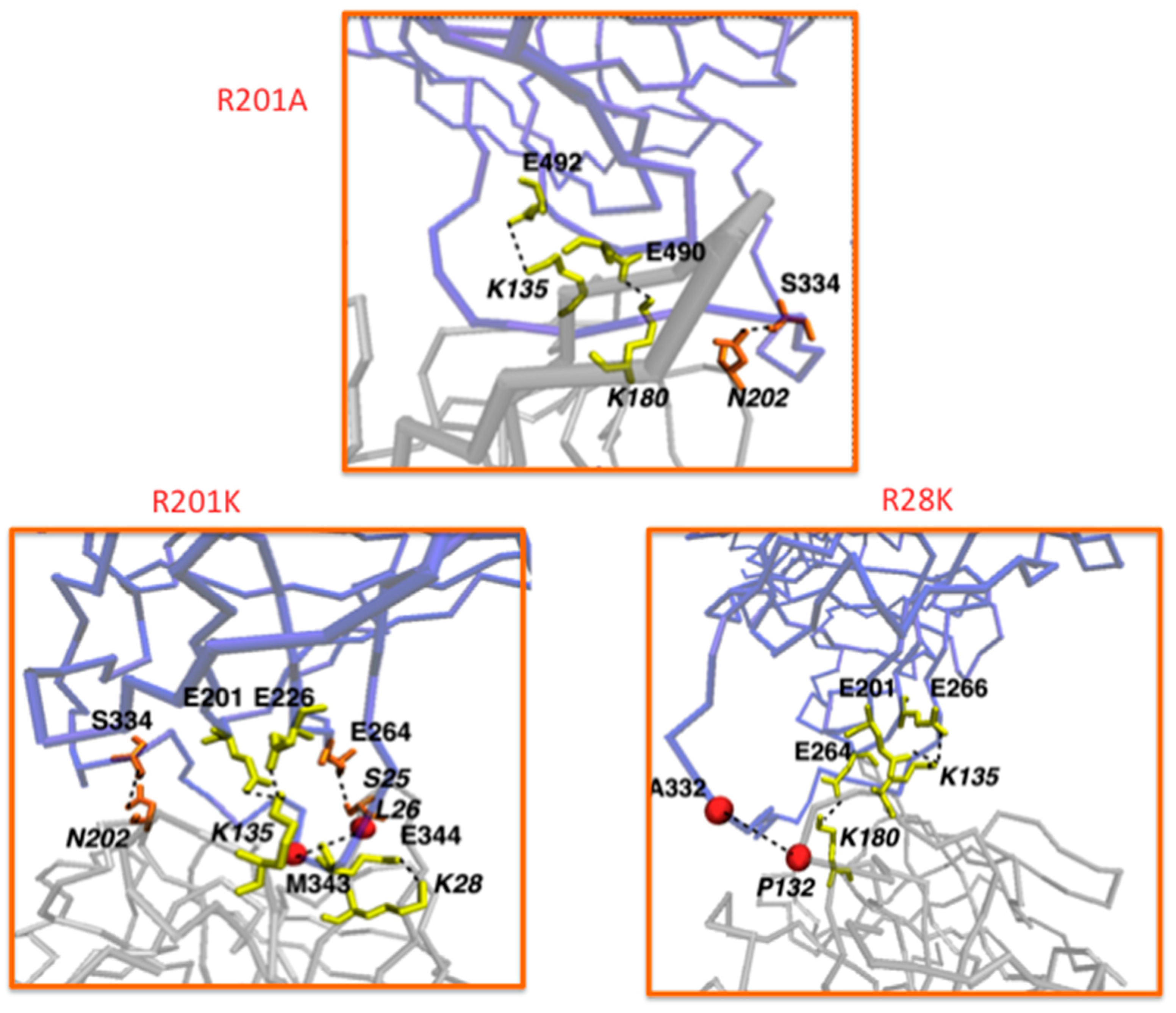 Biomedicines 05 00009 g001