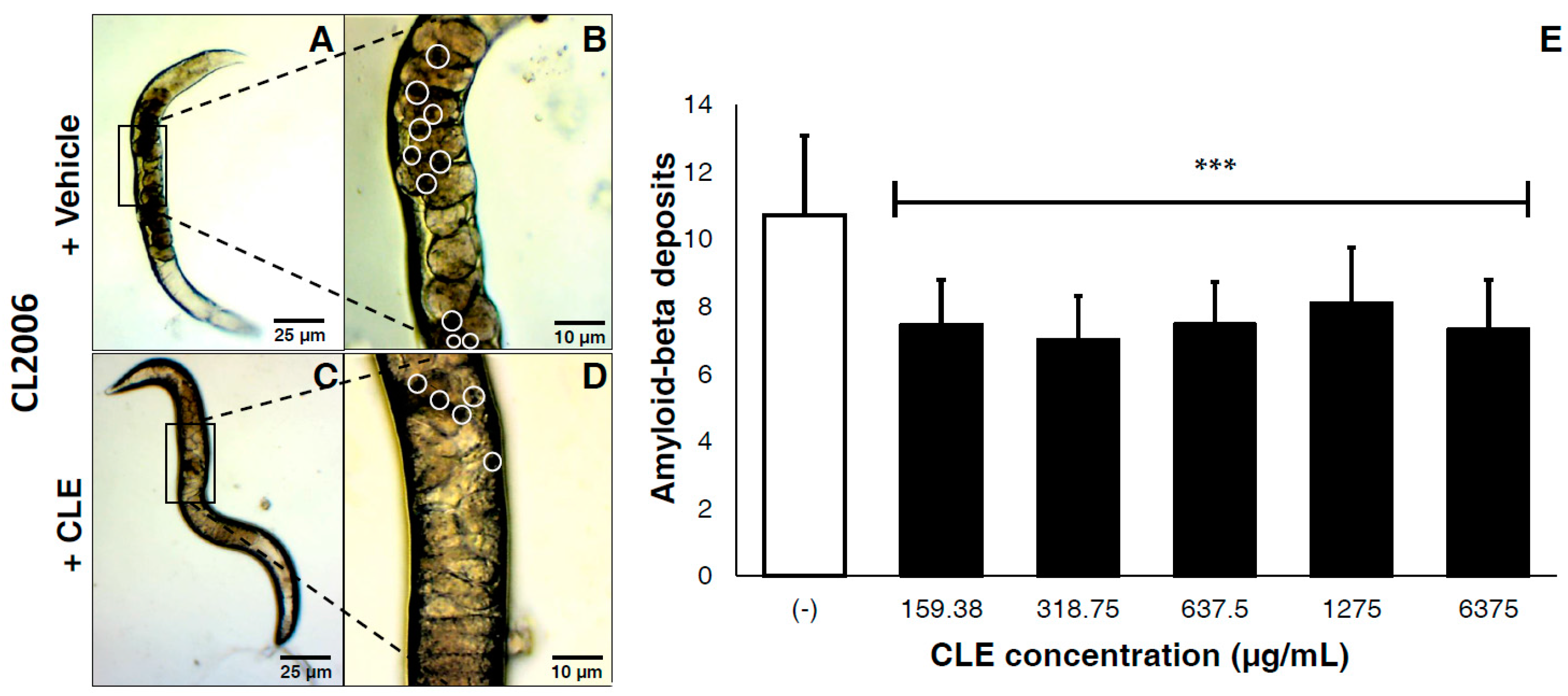 Biomedicines 05 00017 g002