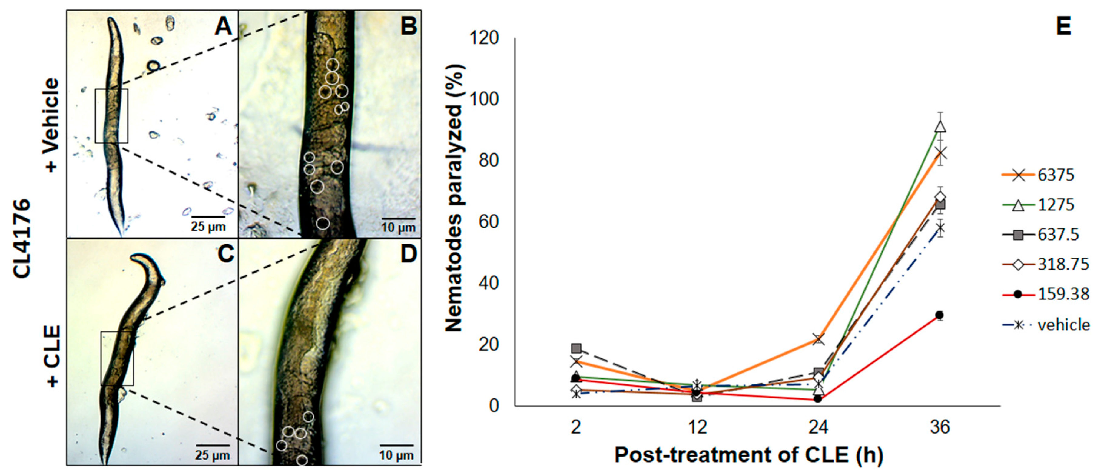 Biomedicines 05 00017 g003