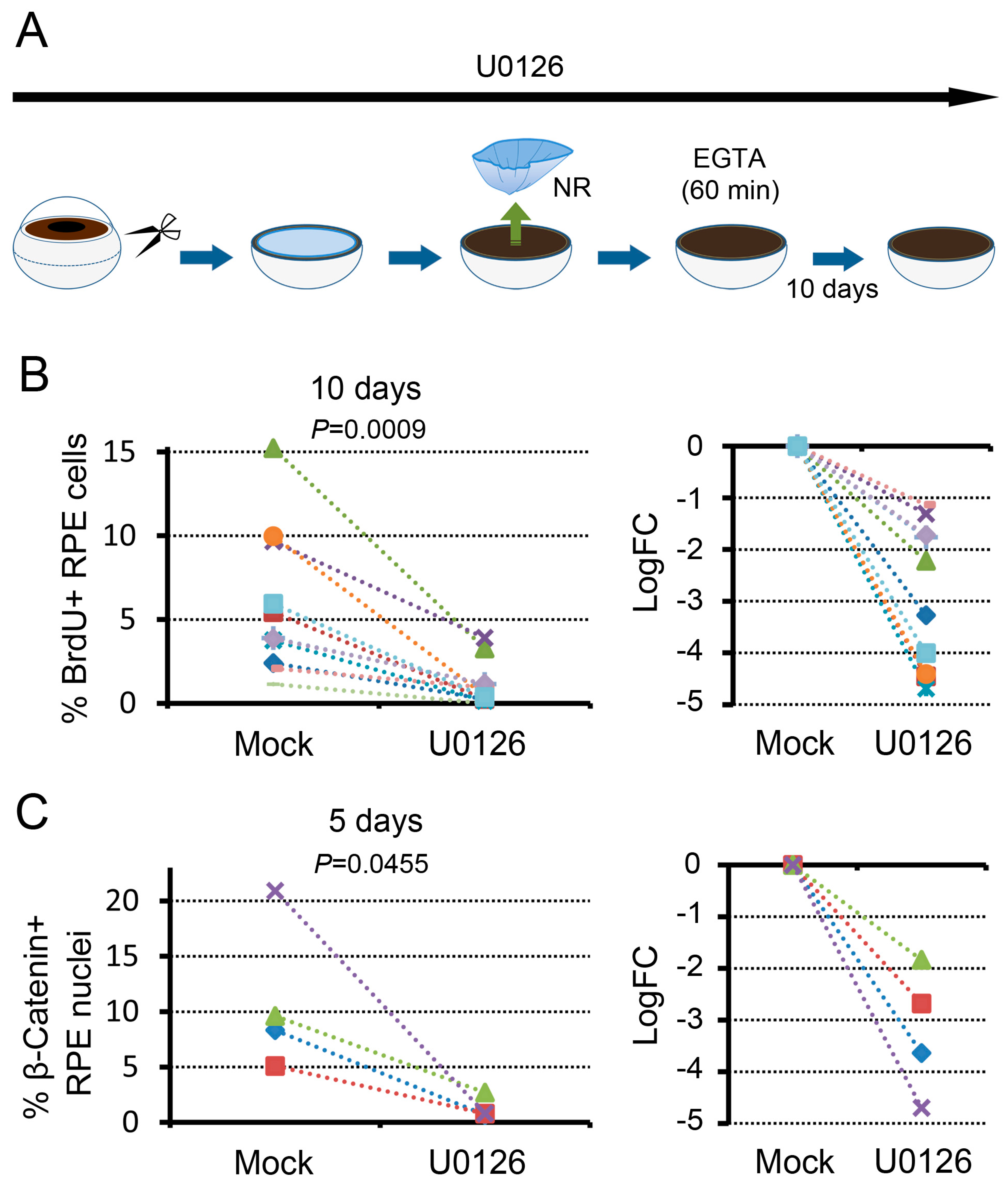 Biomedicines 05 00025 g007