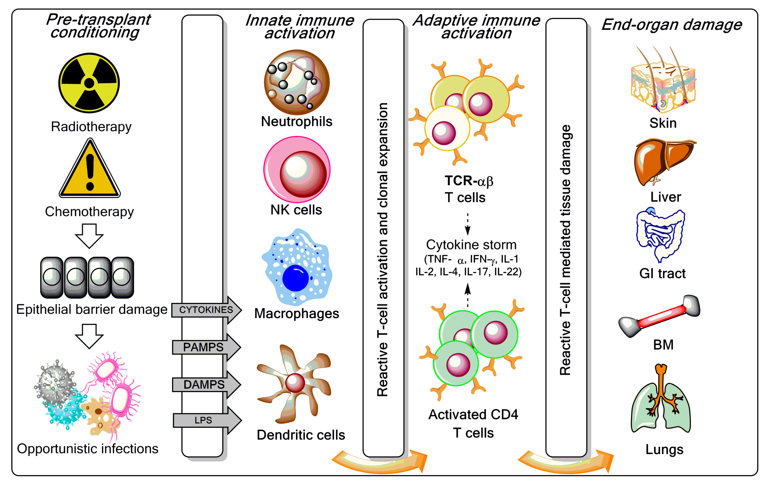 Biomedicines 05 00033 g001