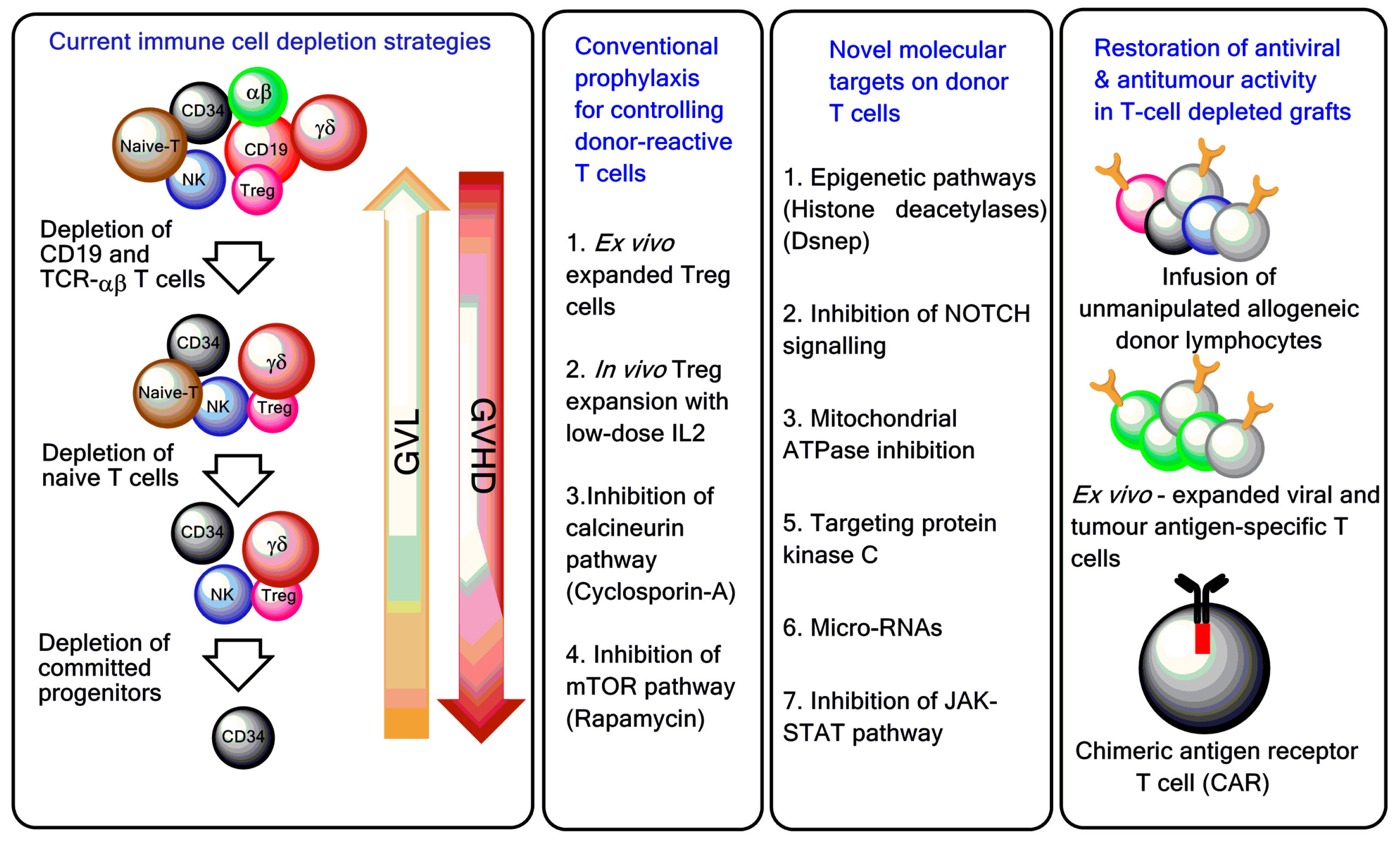 Biomedicines 05 00033 g002