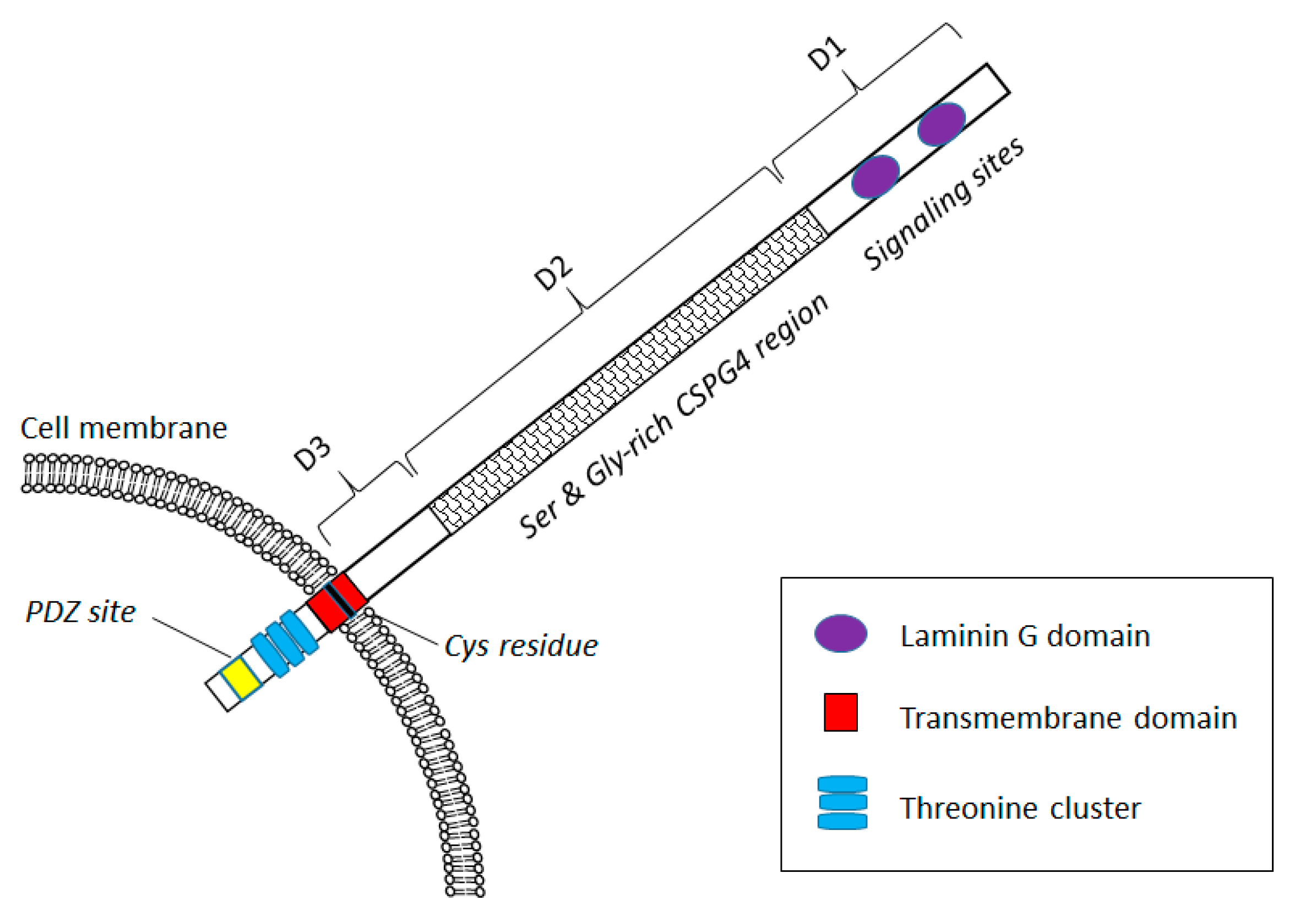 Biomedicines 05 00037 g001