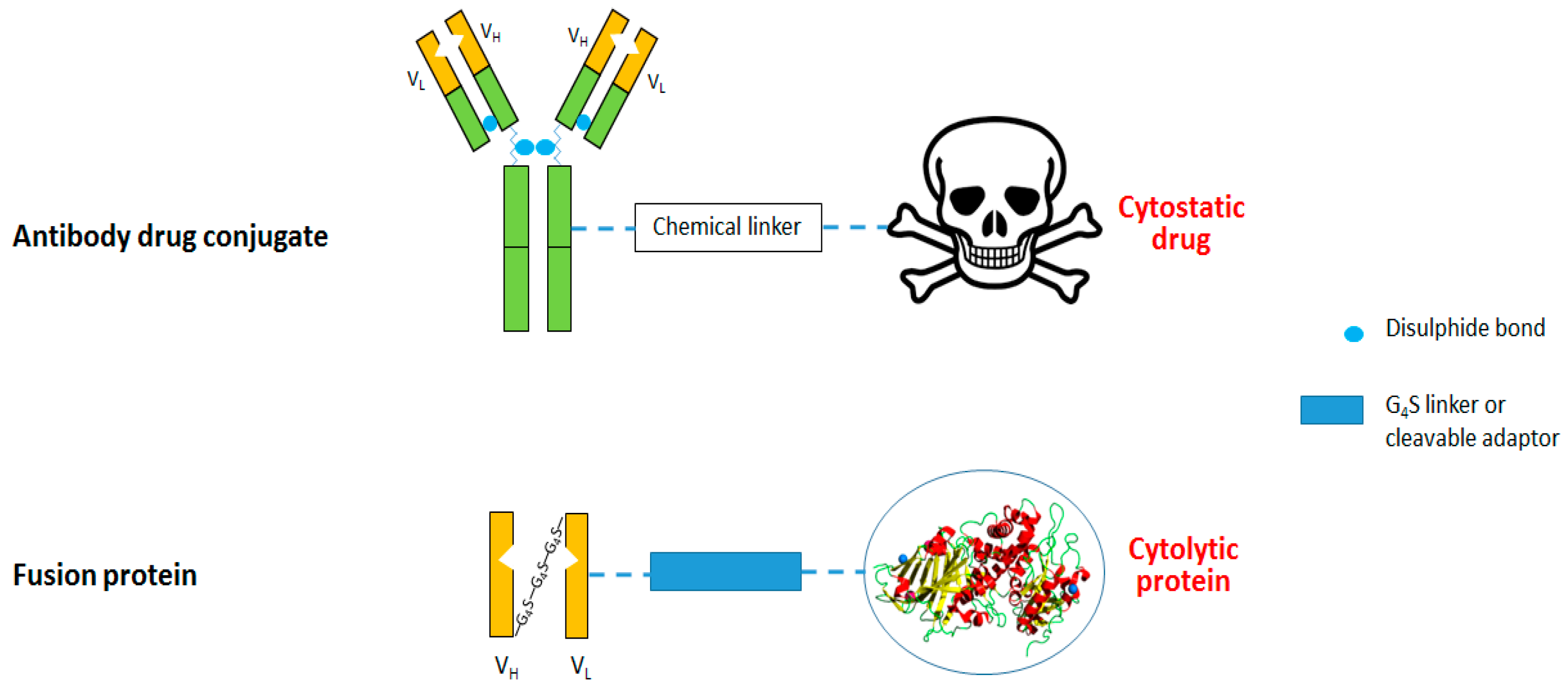 Biomedicines 05 00037 g002