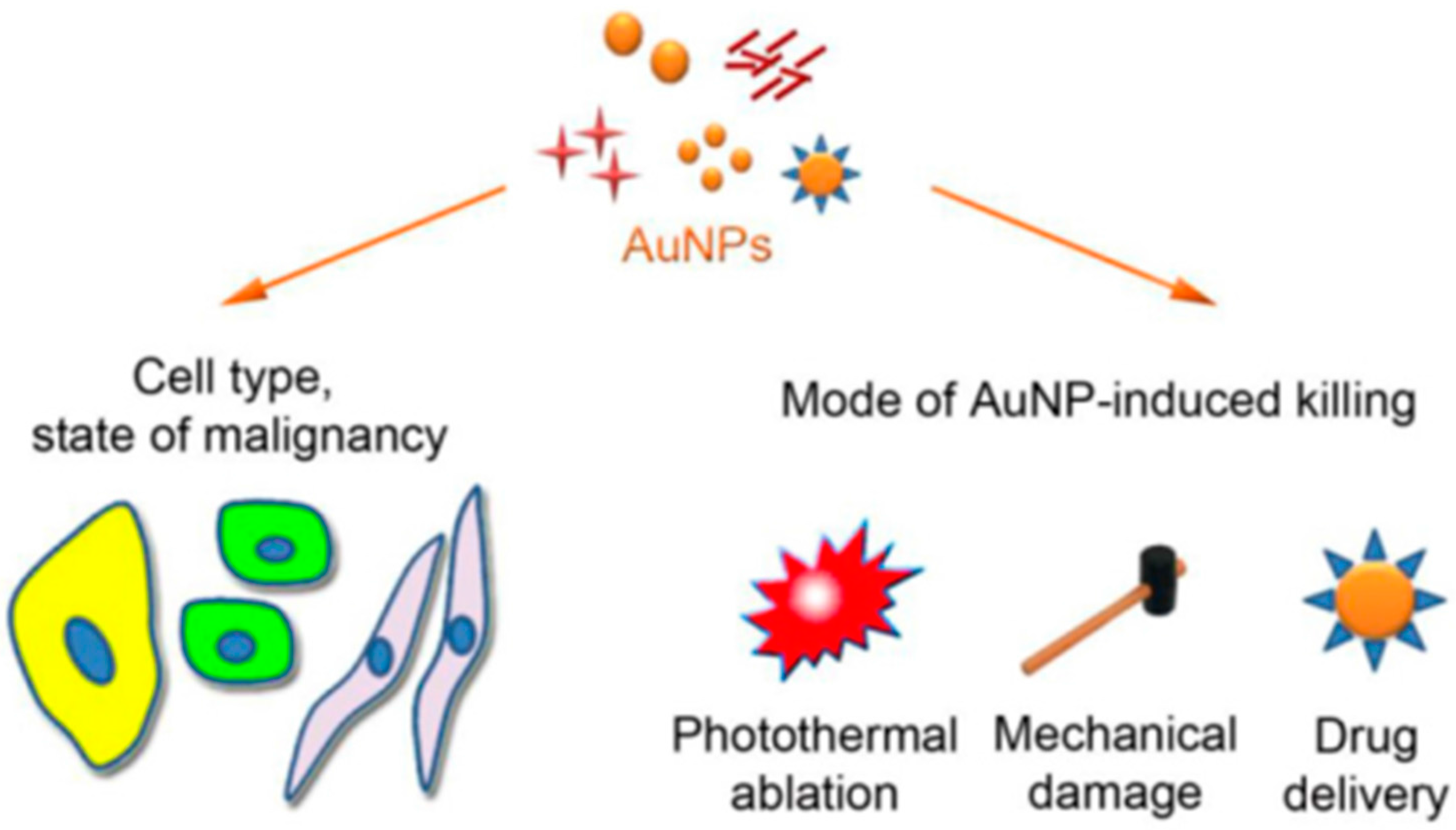 Biomedicines 05 00038 g001