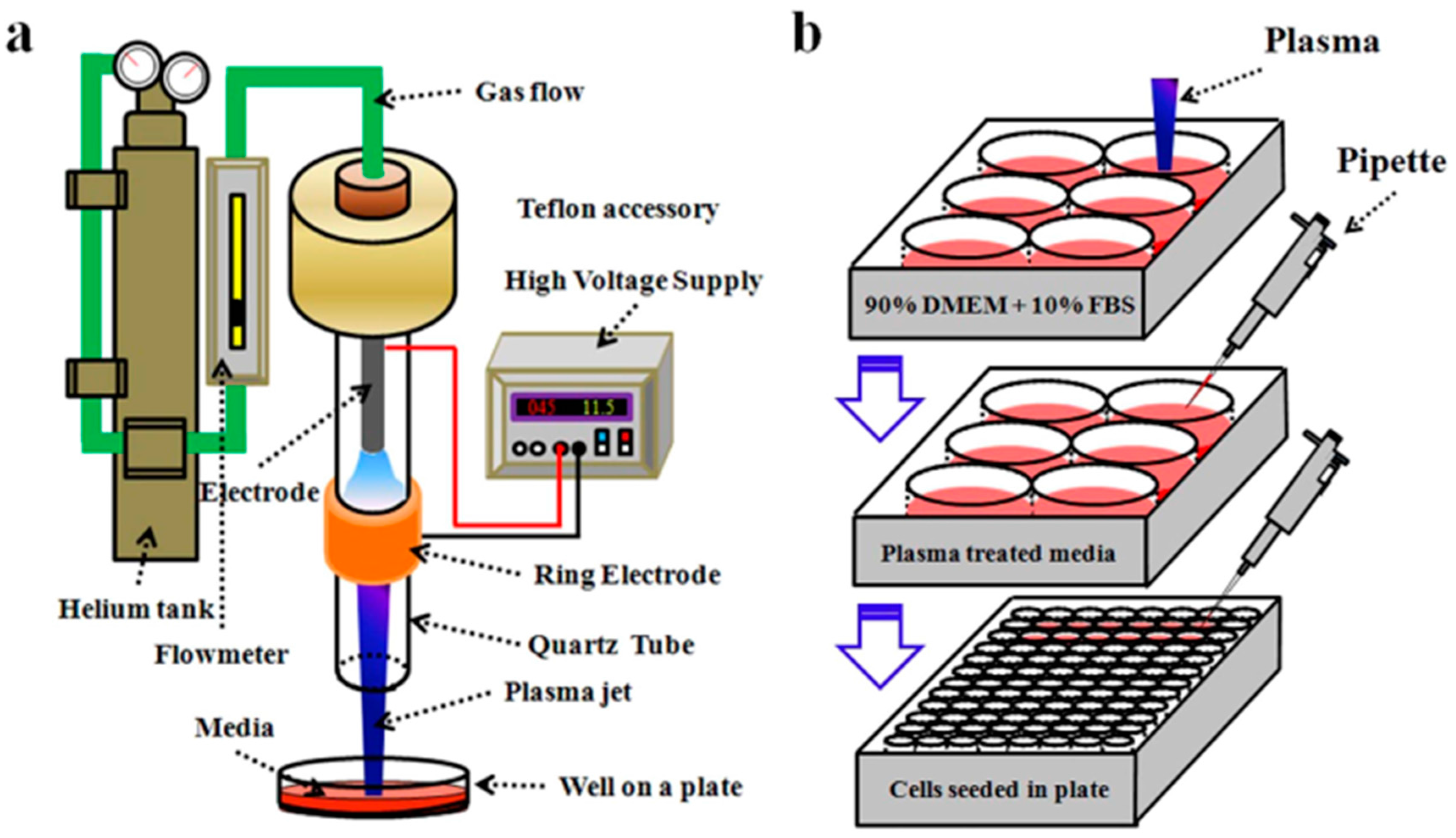 Biomedicines 05 00038 g002