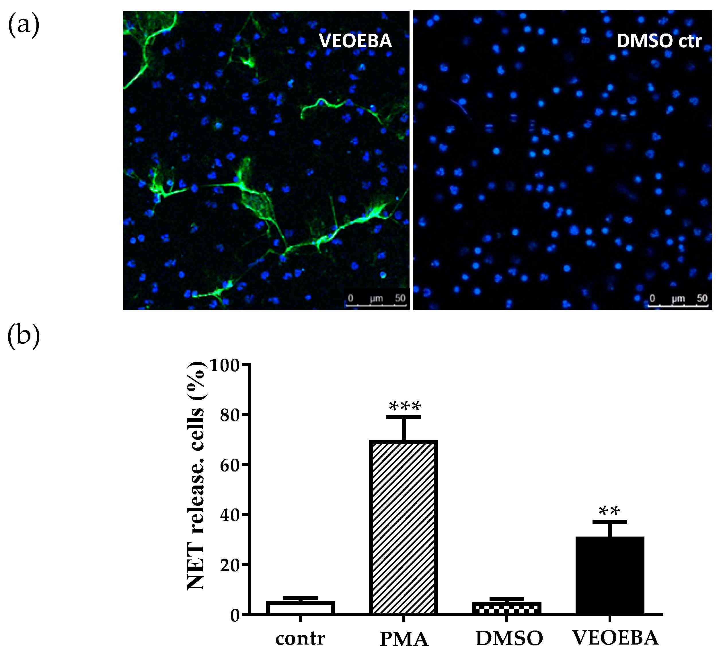 Biomedicines 05 00040 g004
