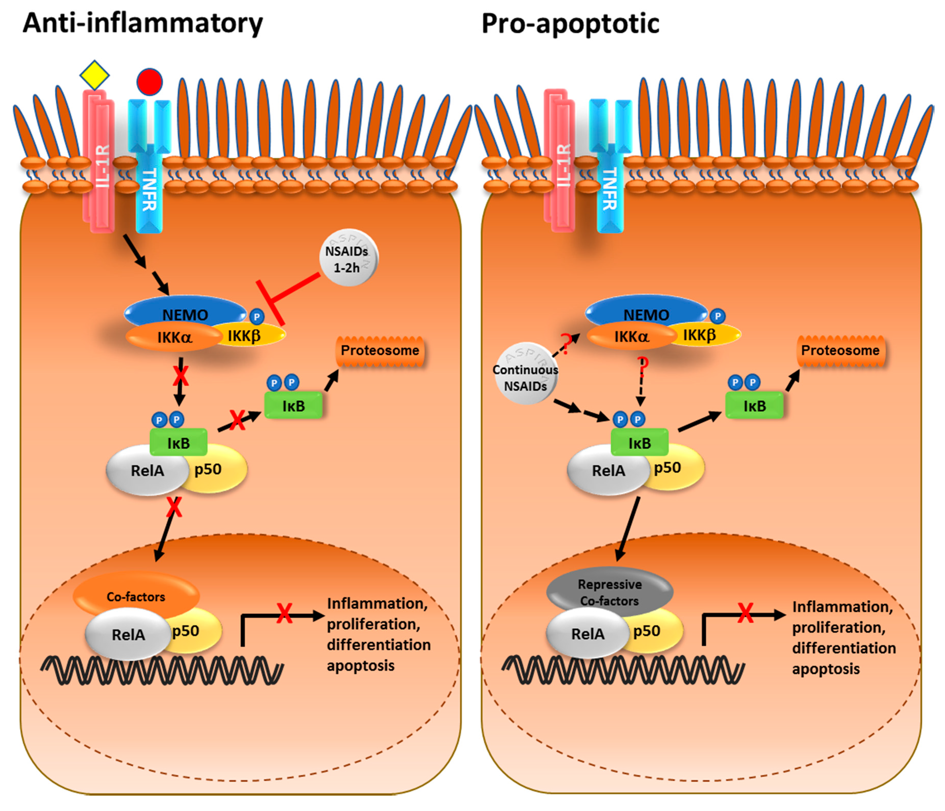 Biomedicines 05 00043 g001