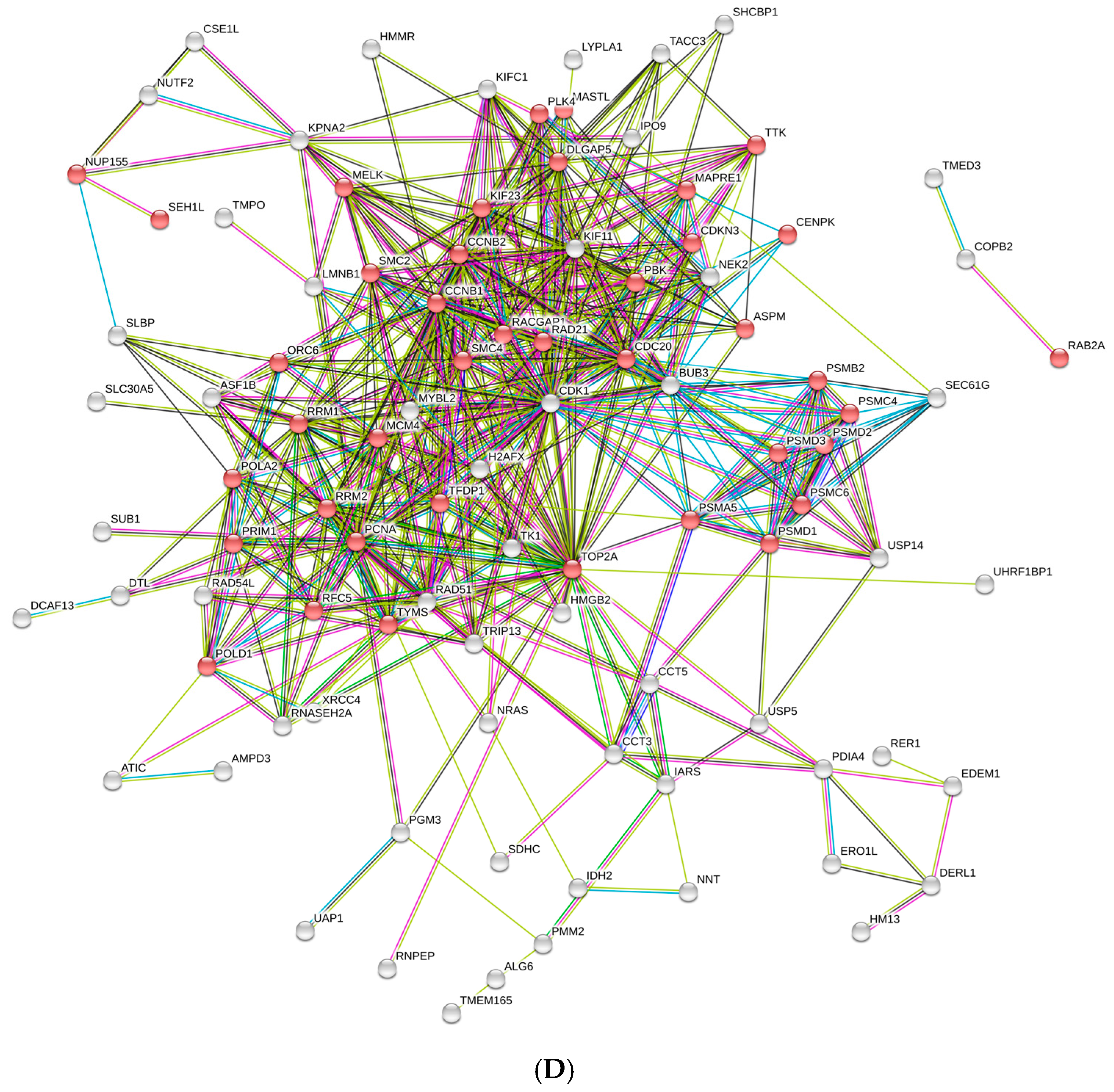 Biomedicines 05 00047 g002b