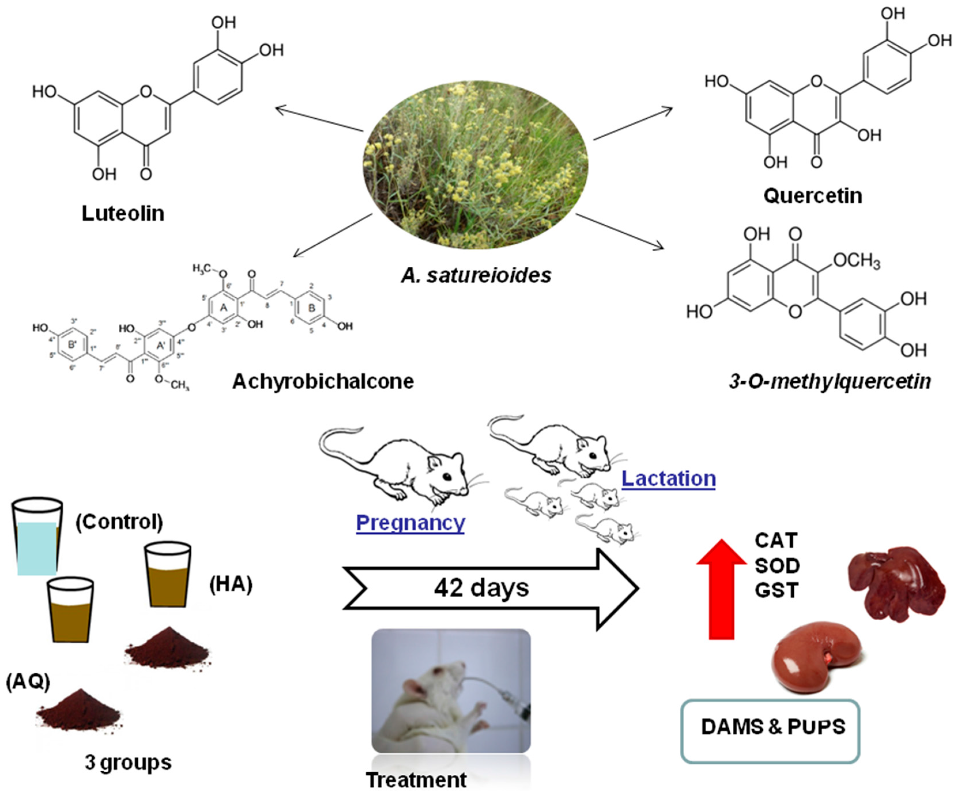Biomedicines 05 00053 g002