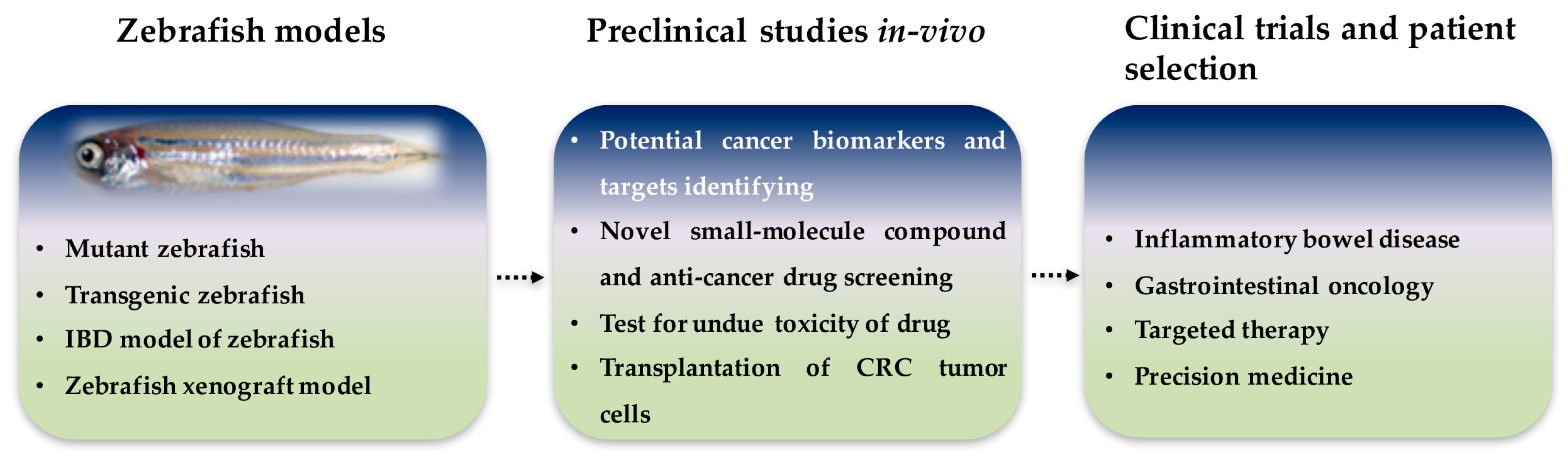 Biomedicines 05 00058 g002