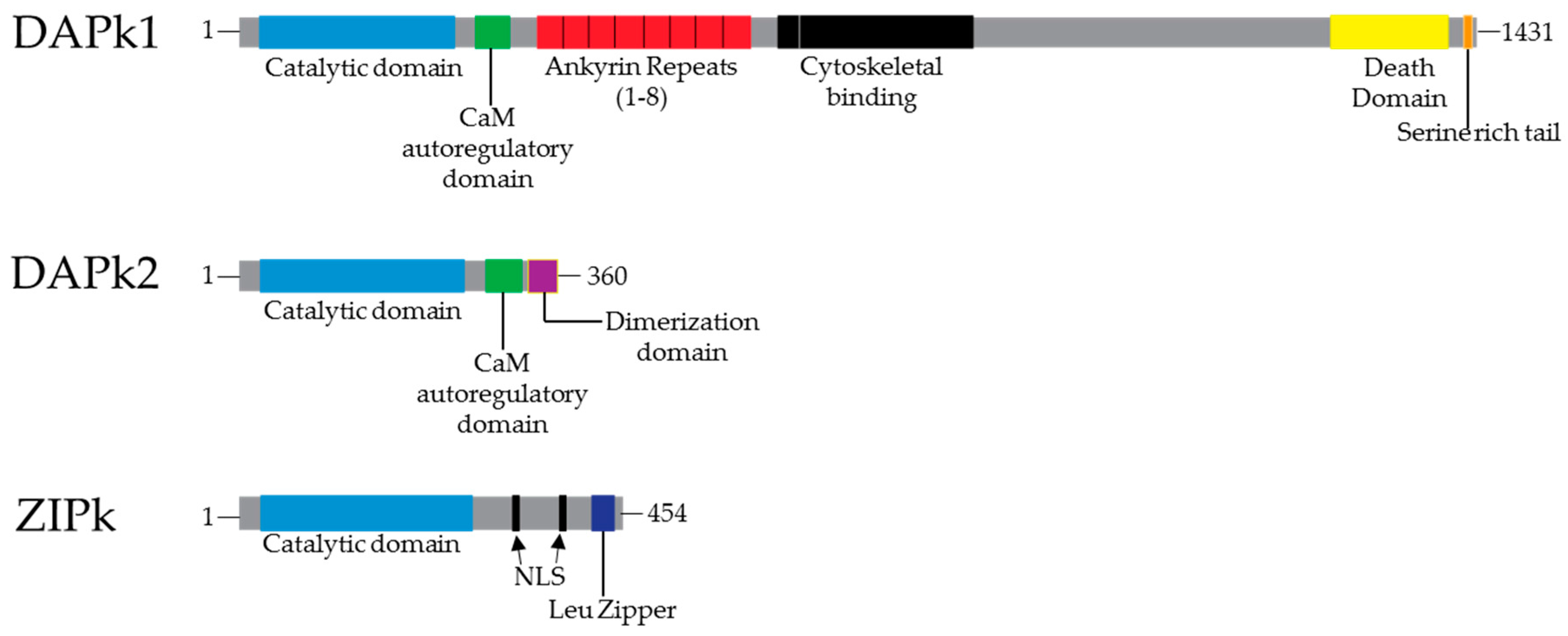 Biomedicines 05 00059 g001