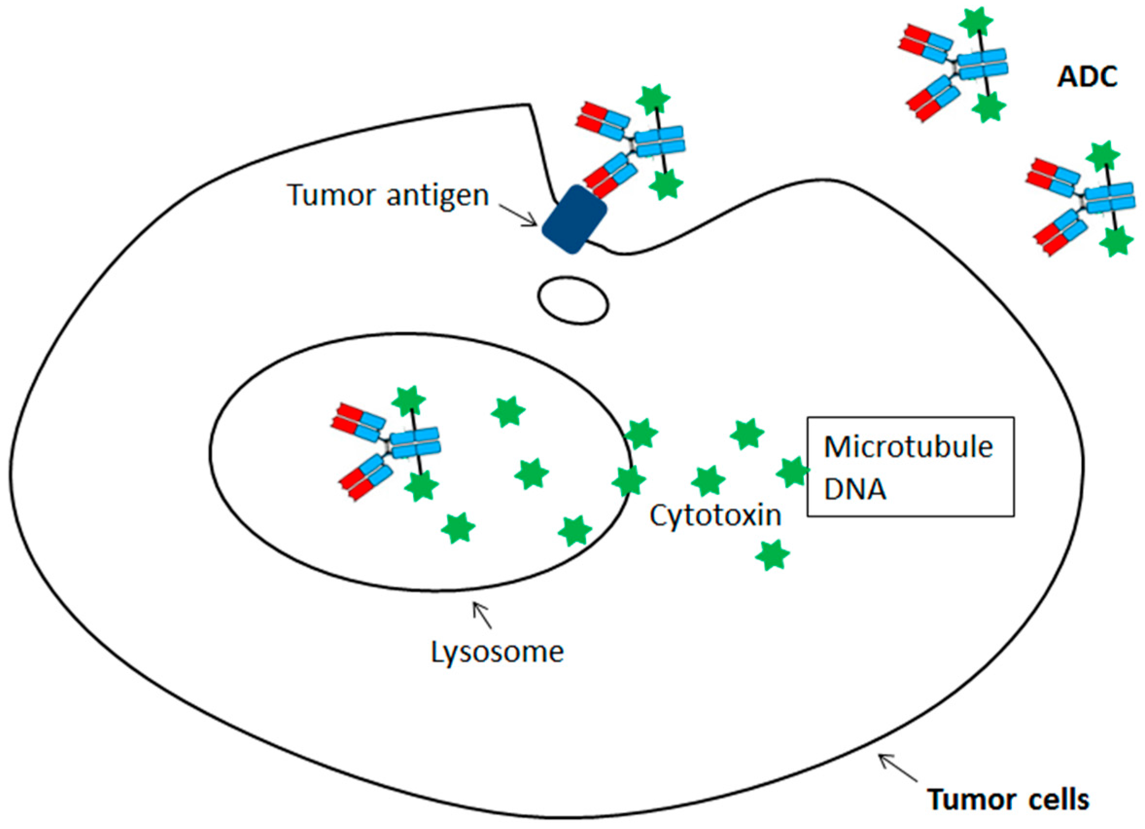Biomedicines 05 00064 g001