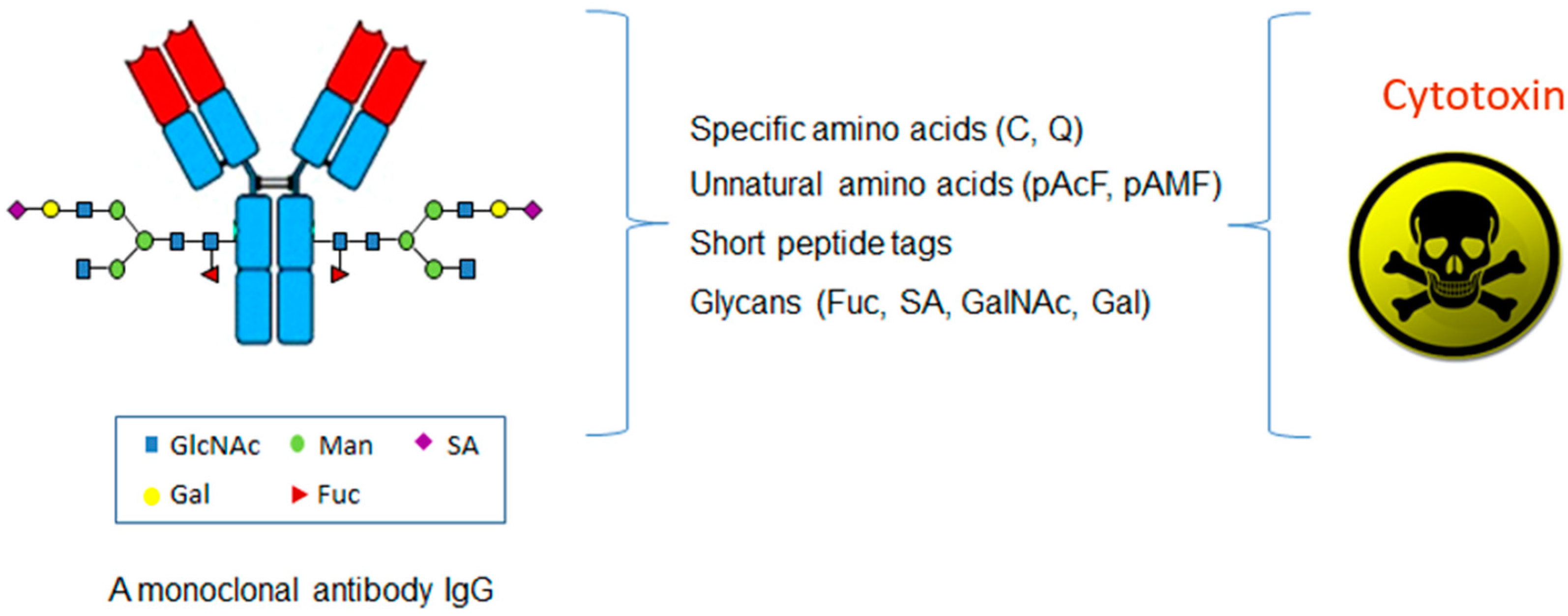 Biomedicines 05 00064 g002