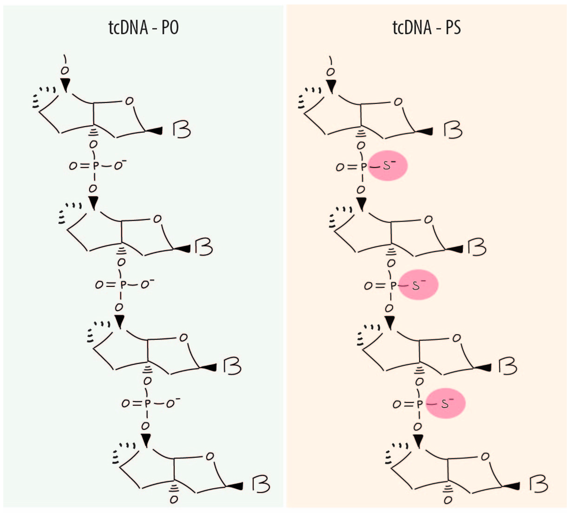 Biomedicines 06 00002 g001