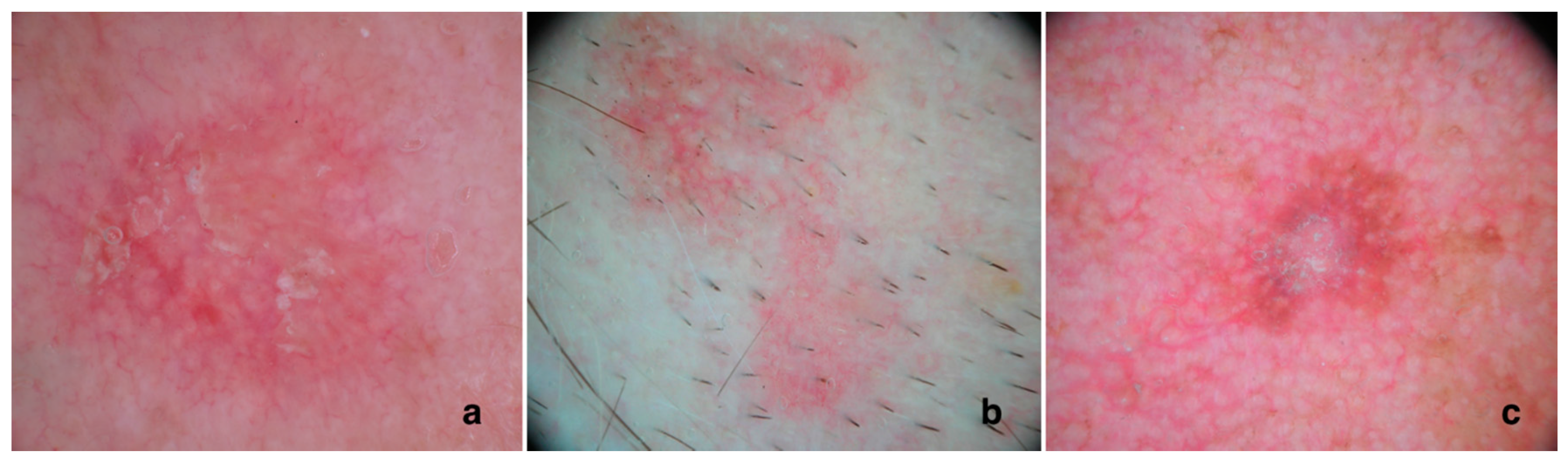 Biomedicines 06 00008 g001