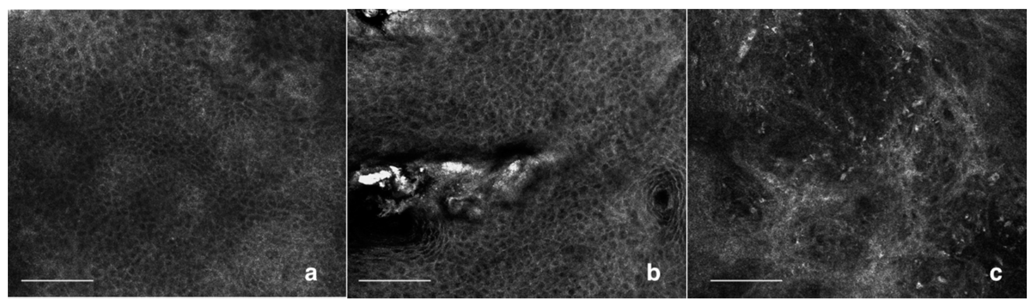 Biomedicines 06 00008 g002