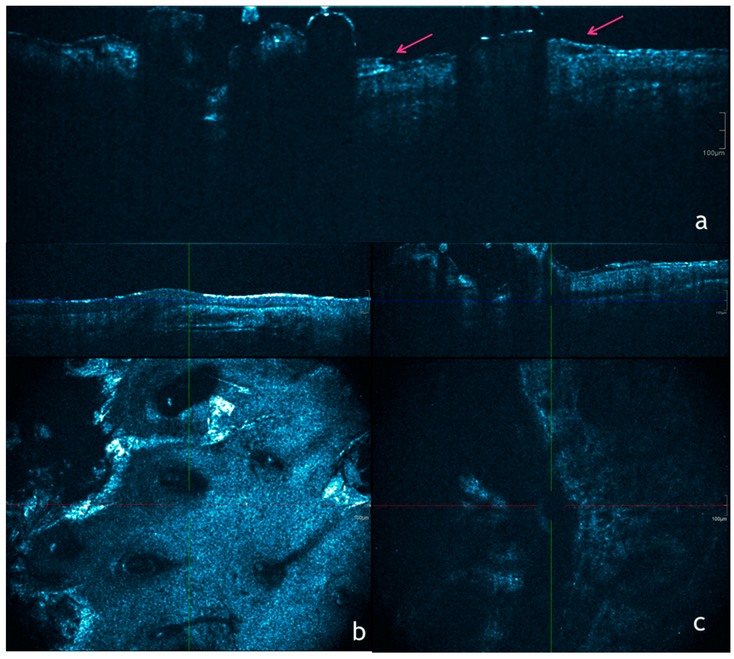 Biomedicines 06 00008 g003