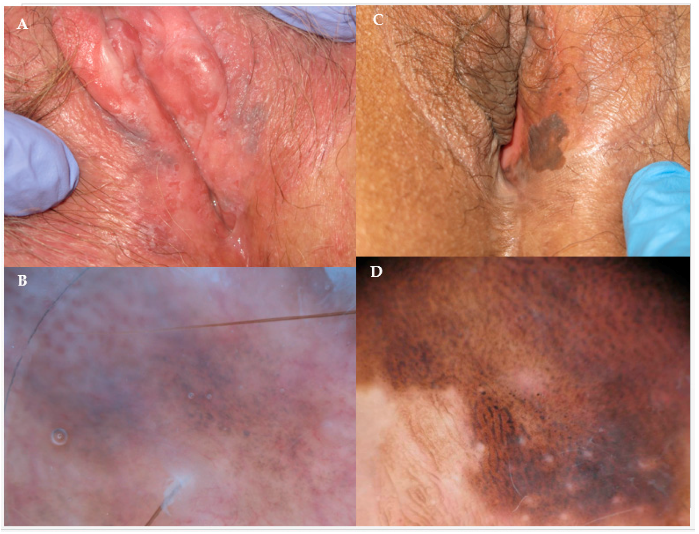 Biomedicines 06 00013 g001