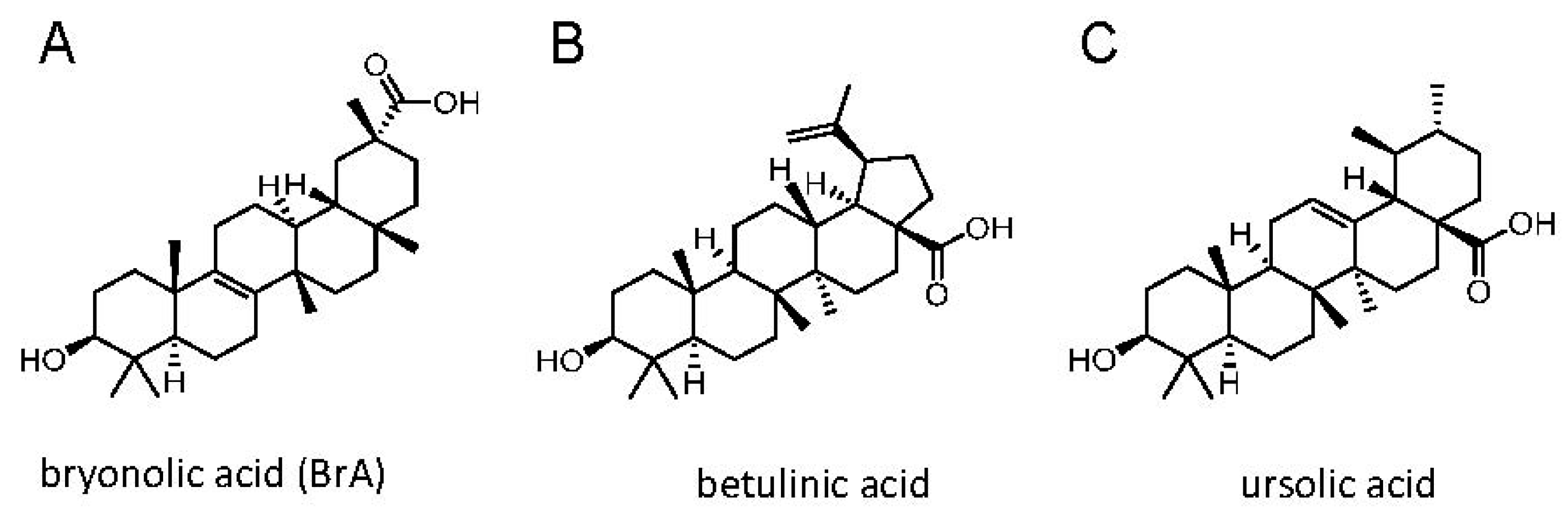 Biomedicines 06 00021 g001