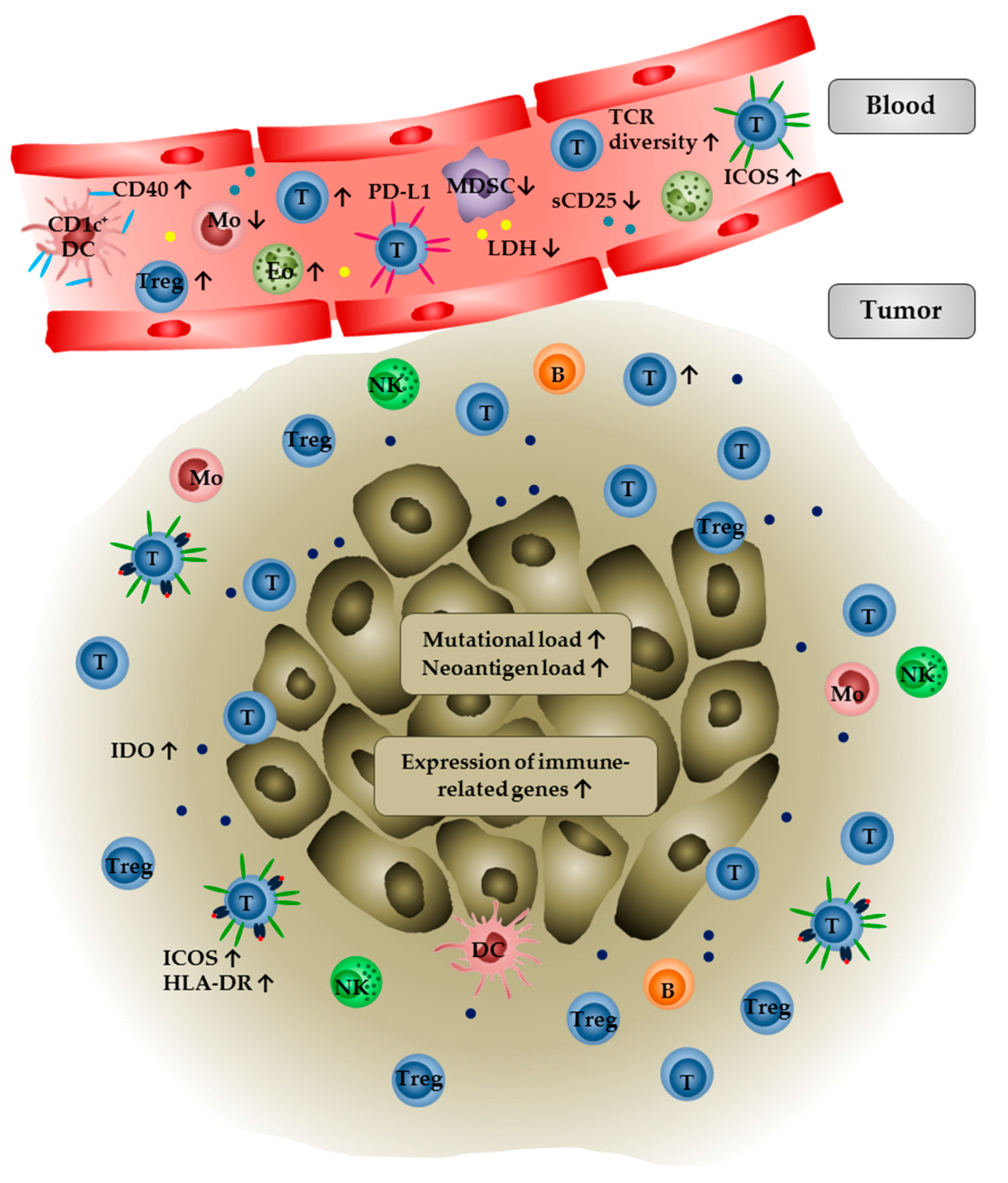 Biomedicines 06 00026 g001