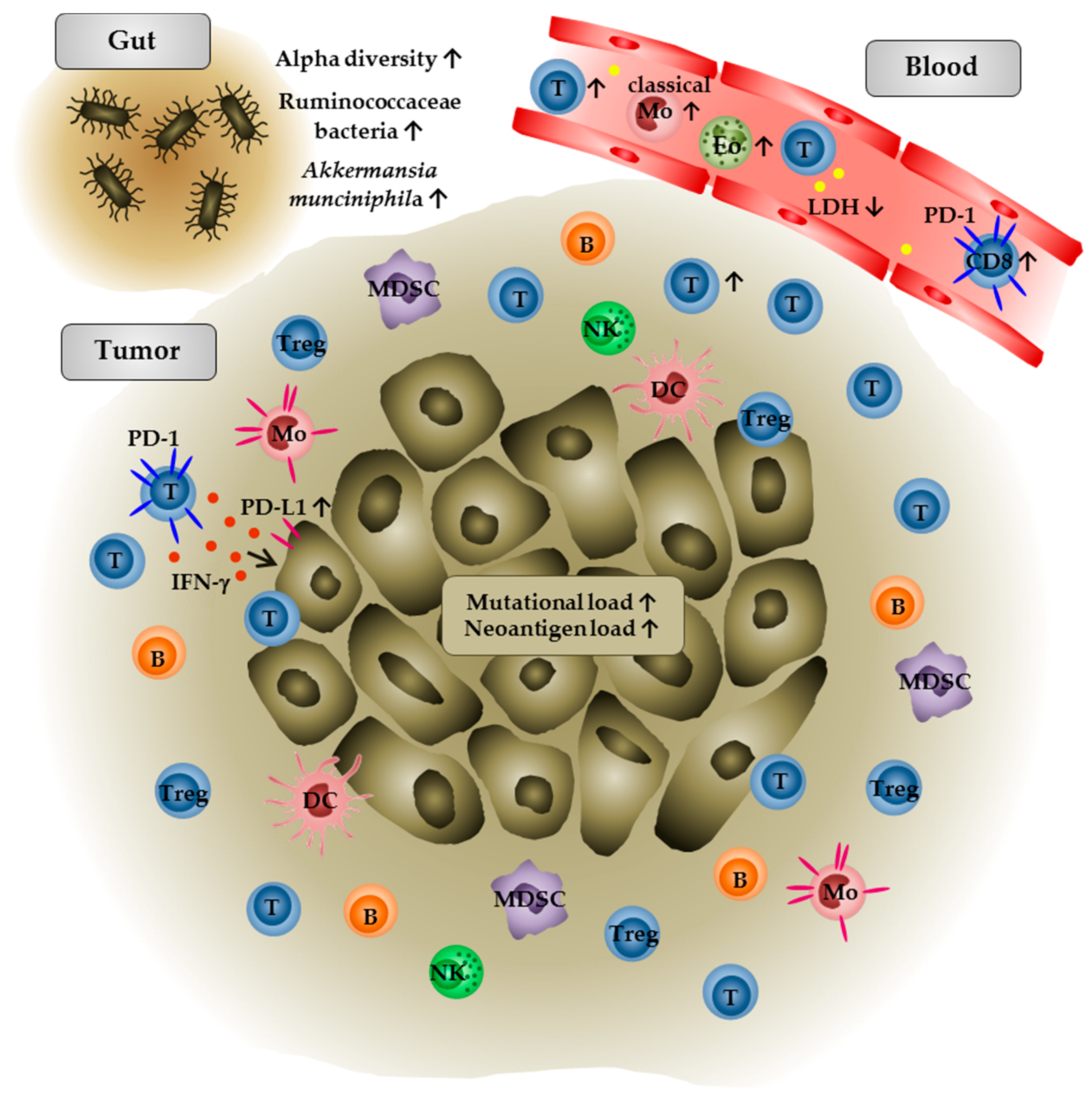 Biomedicines 06 00026 g002