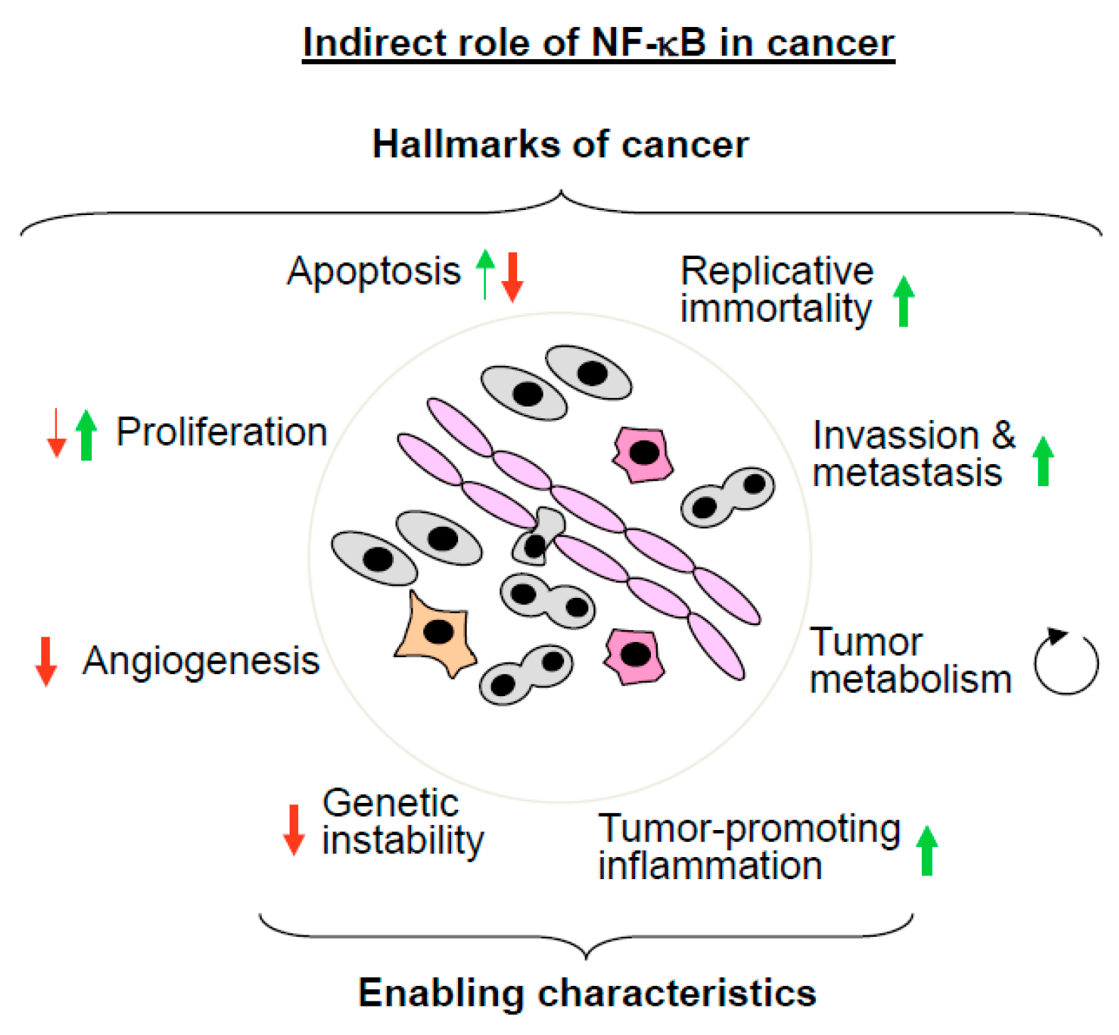 Biomedicines 06 00036 g003
