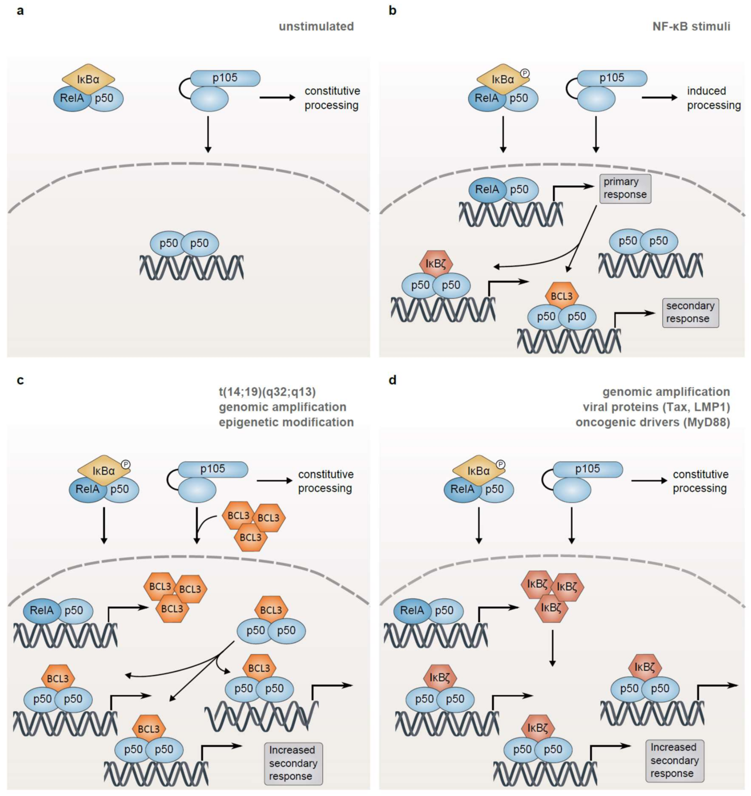 Biomedicines 06 00038 g006