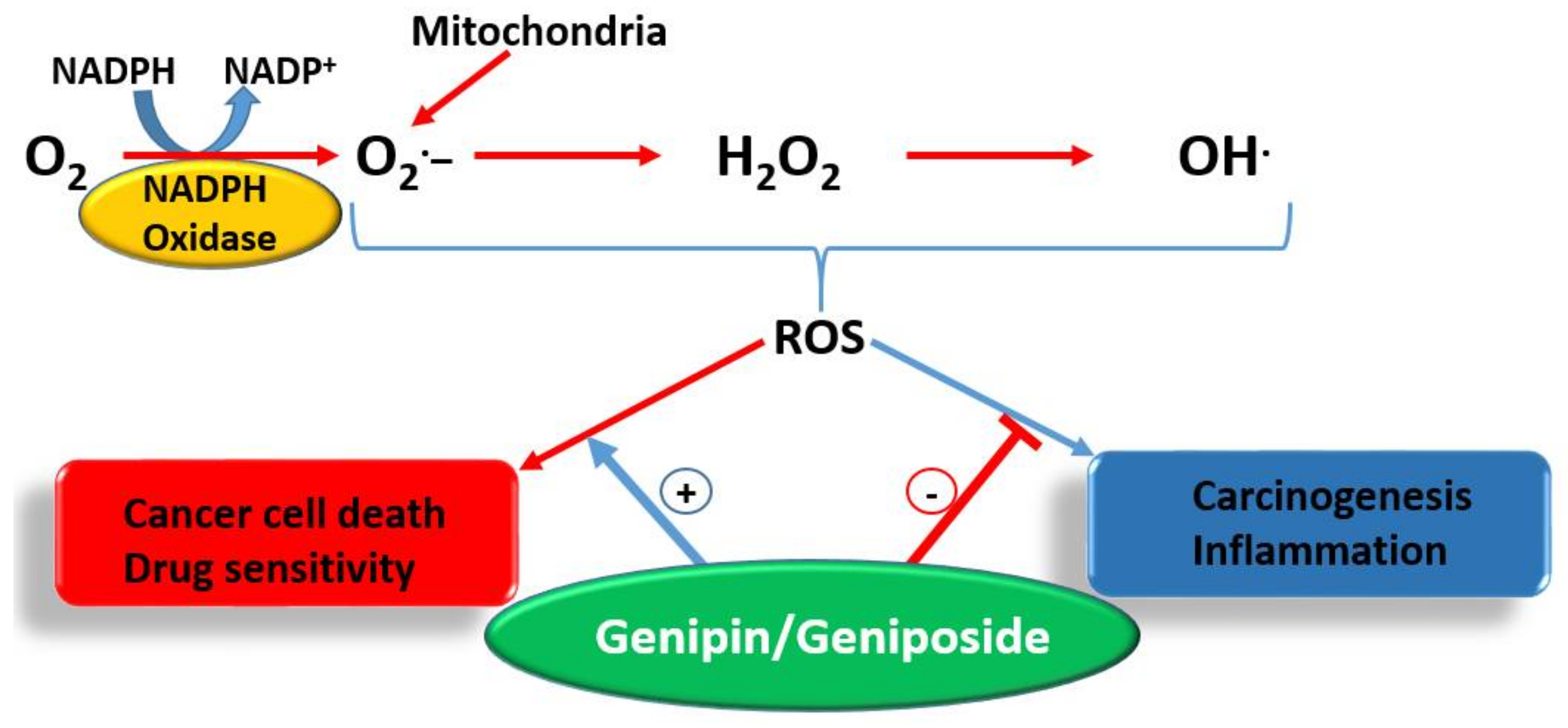 Biomedicines 06 00039 g005