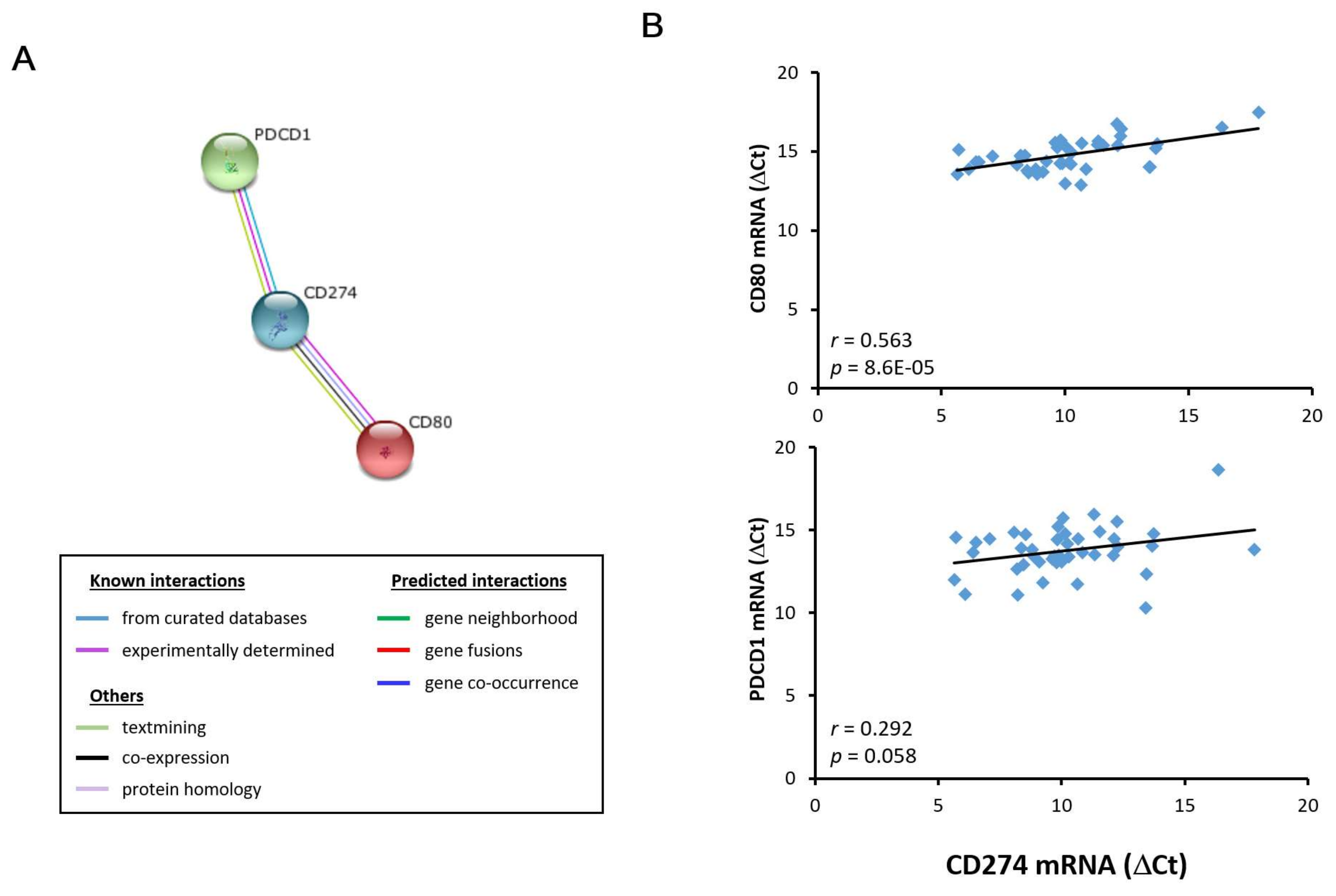 Biomedicines 06 00041 g006