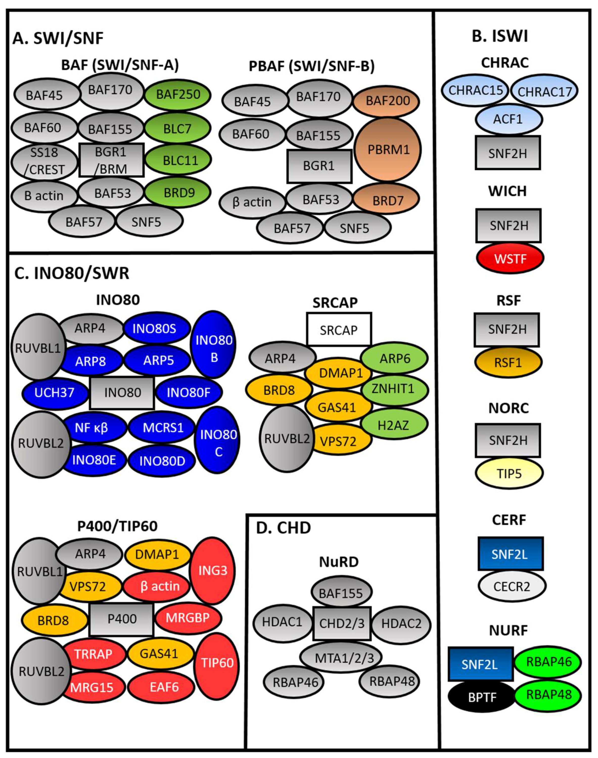 Biomedicines 06 00047 g002