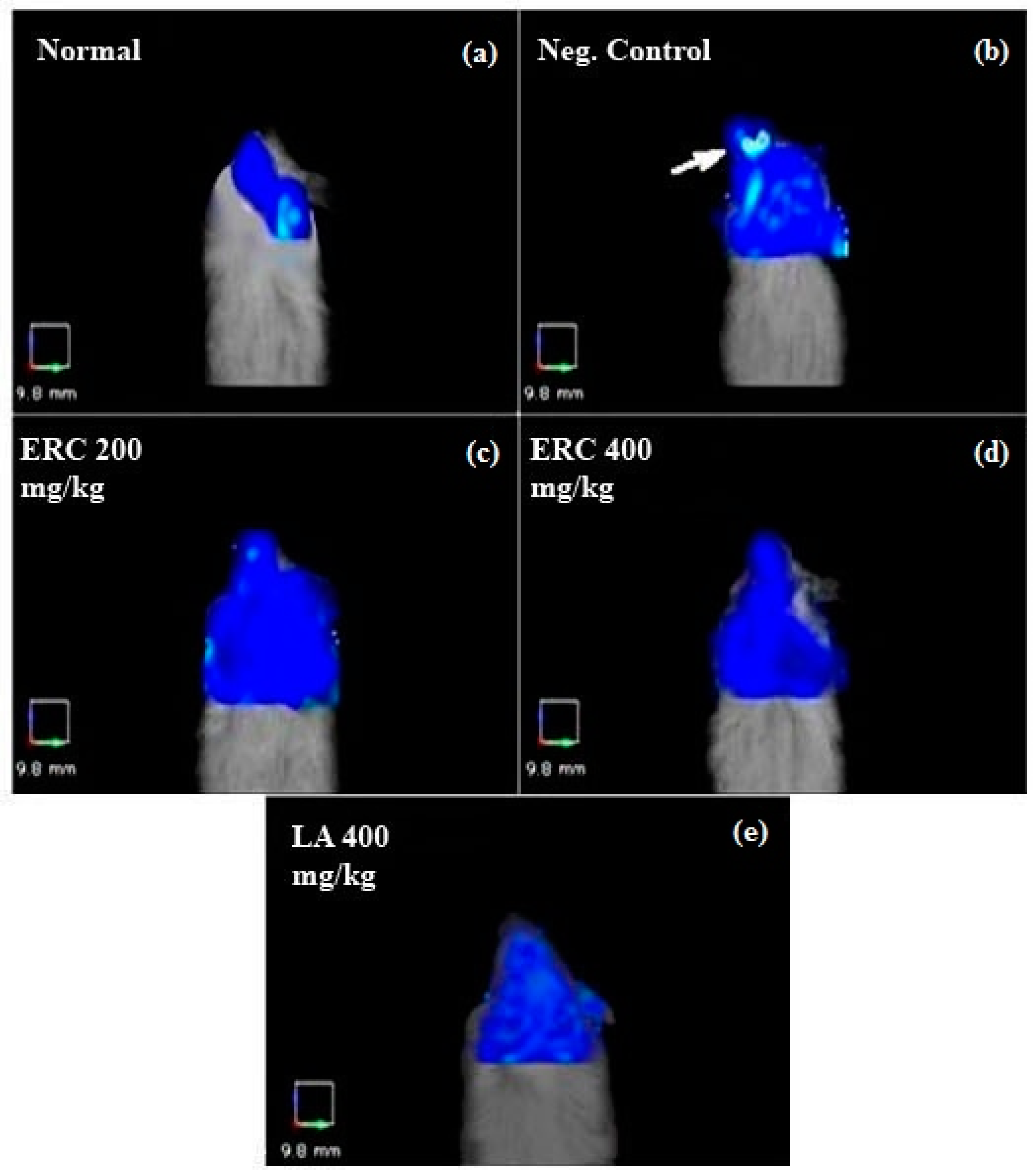 Biomedicines 06 00048 g002