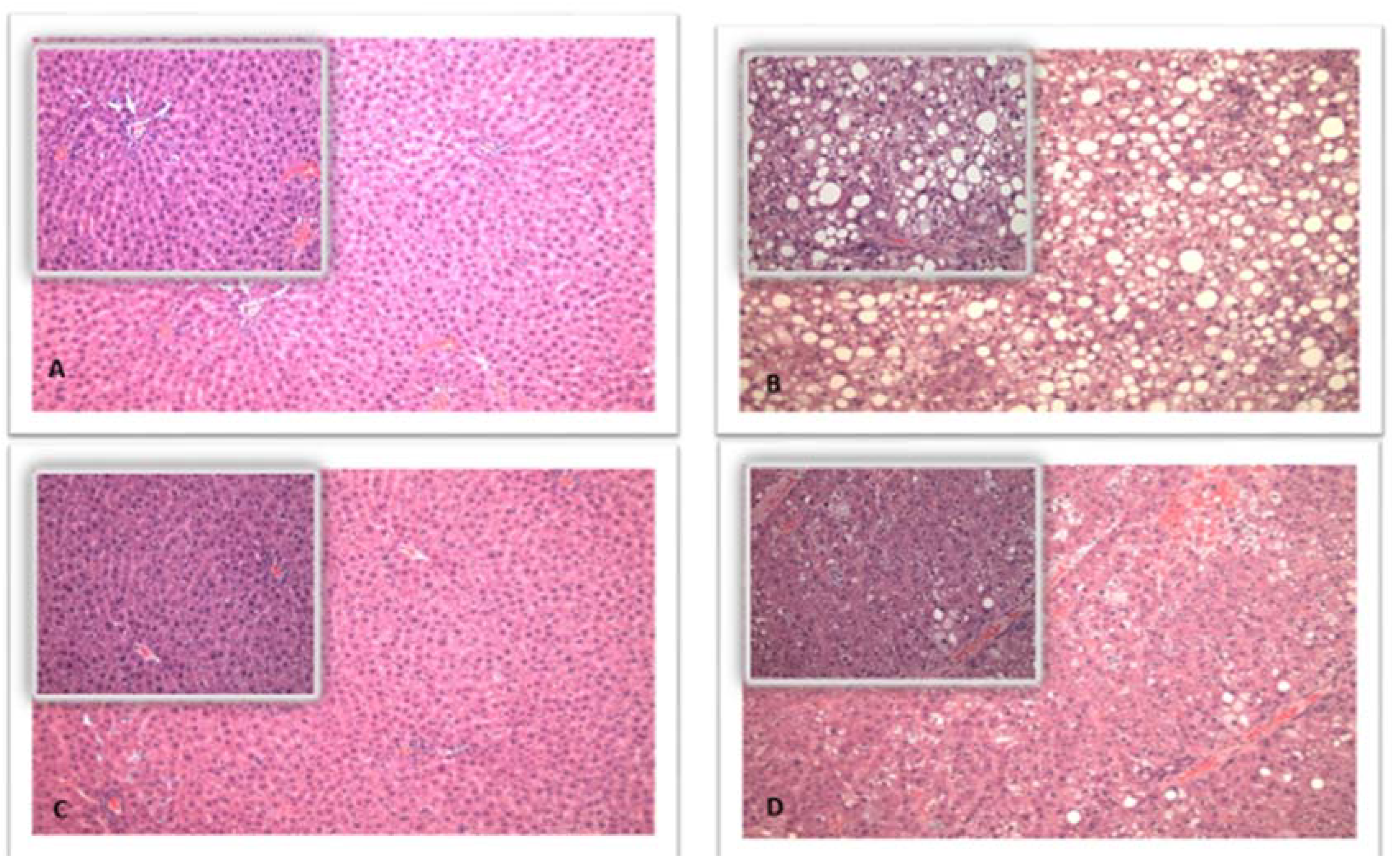 Biomedicines 06 00055 g003