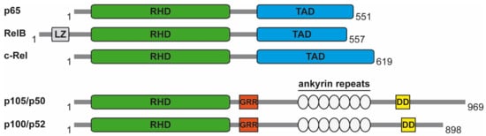 Biomedicines 06 00057 g001 550