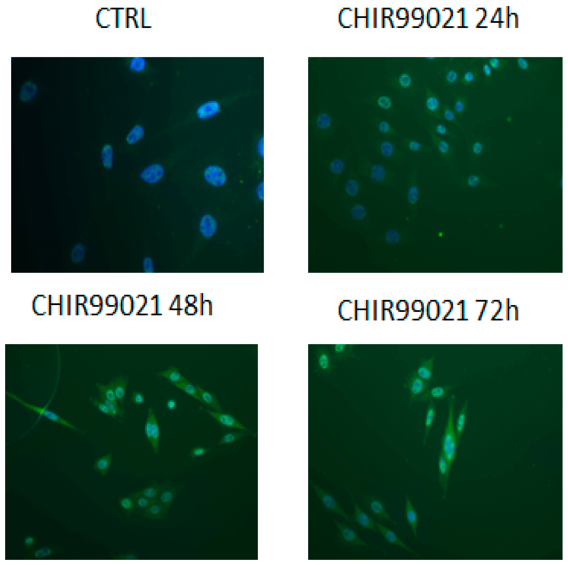 Biomedicines 06 00061 g004