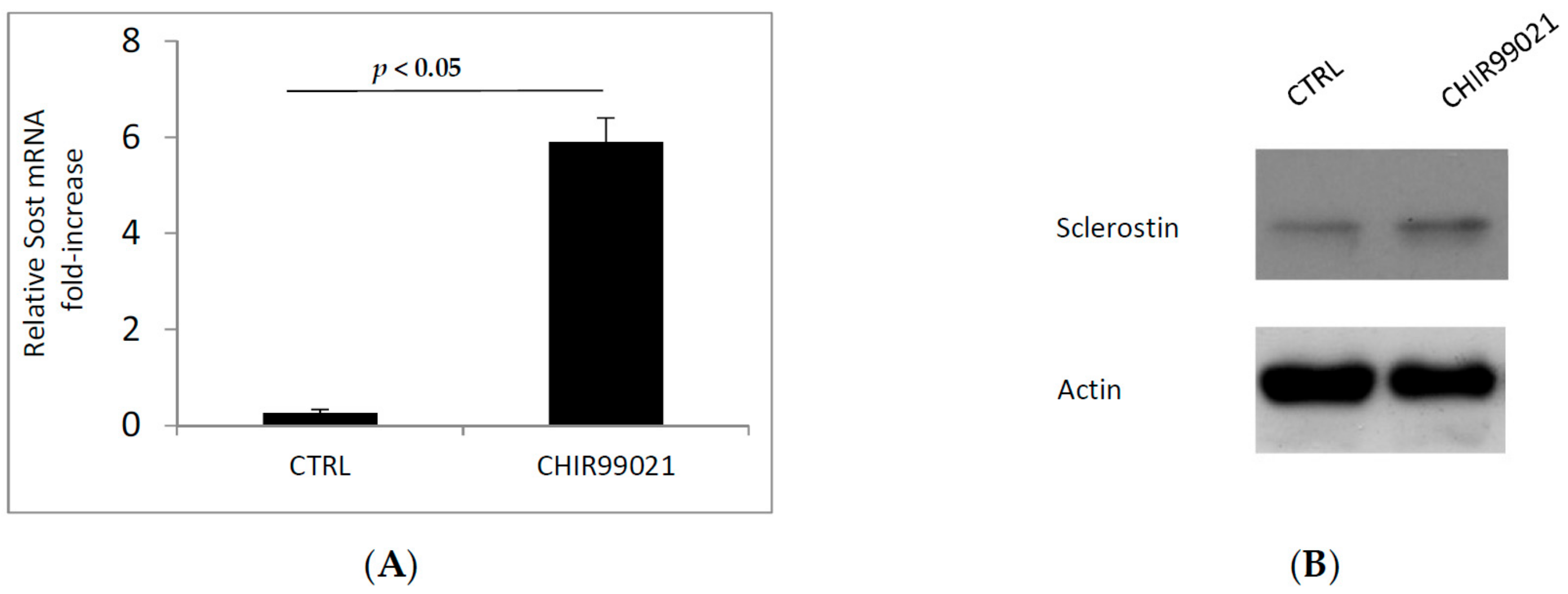 Biomedicines 06 00061 g007