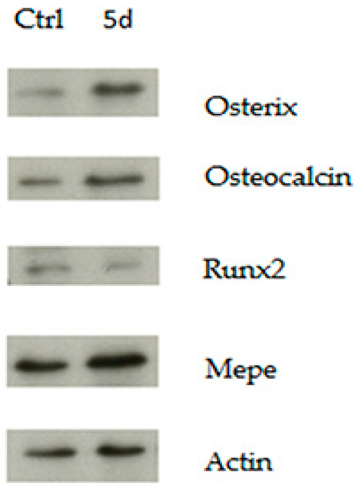 Biomedicines 06 00061 g009