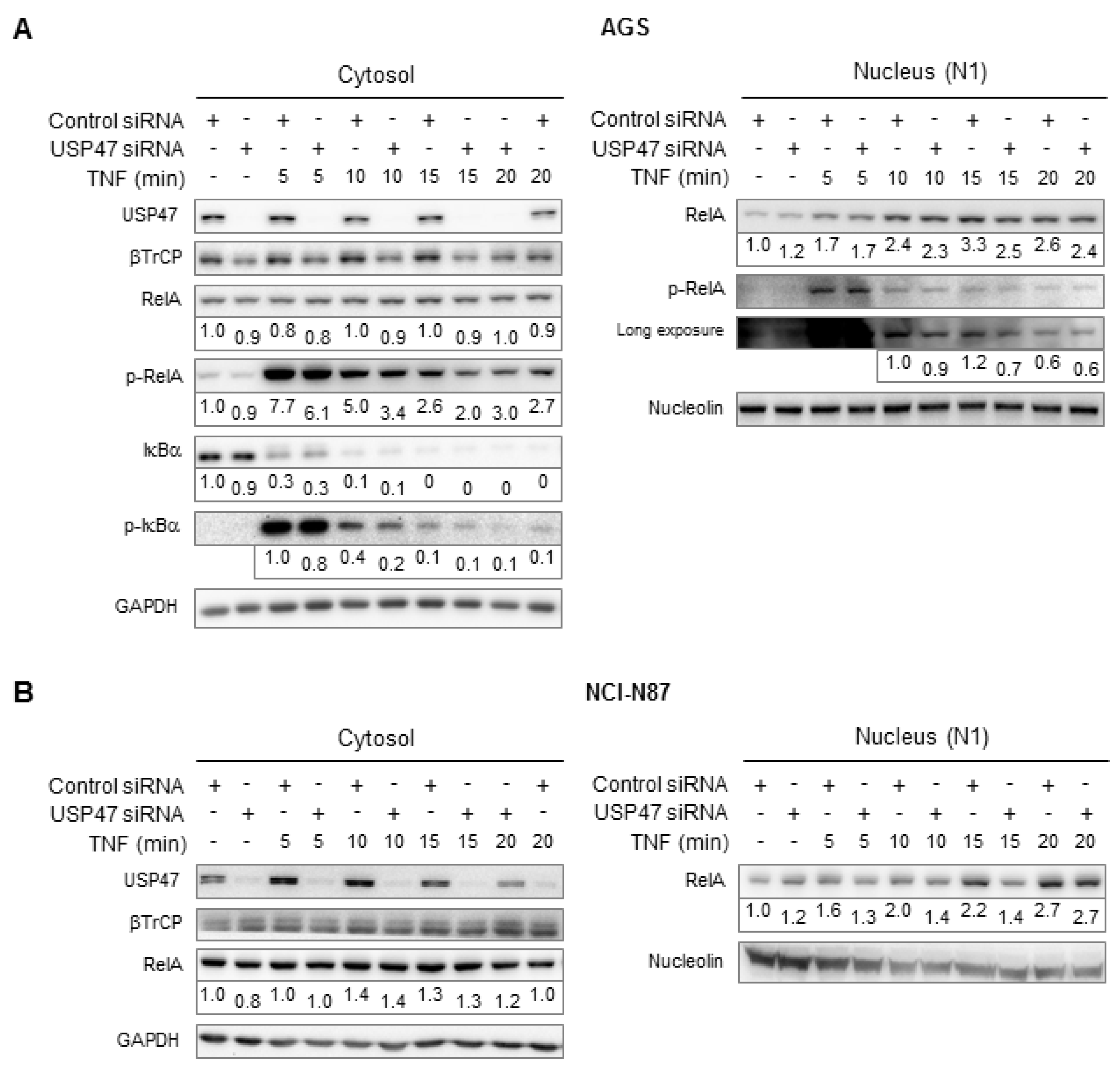 Biomedicines 06 00062 g001