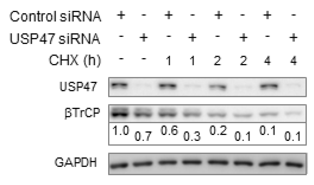 Biomedicines 06 00062 g002