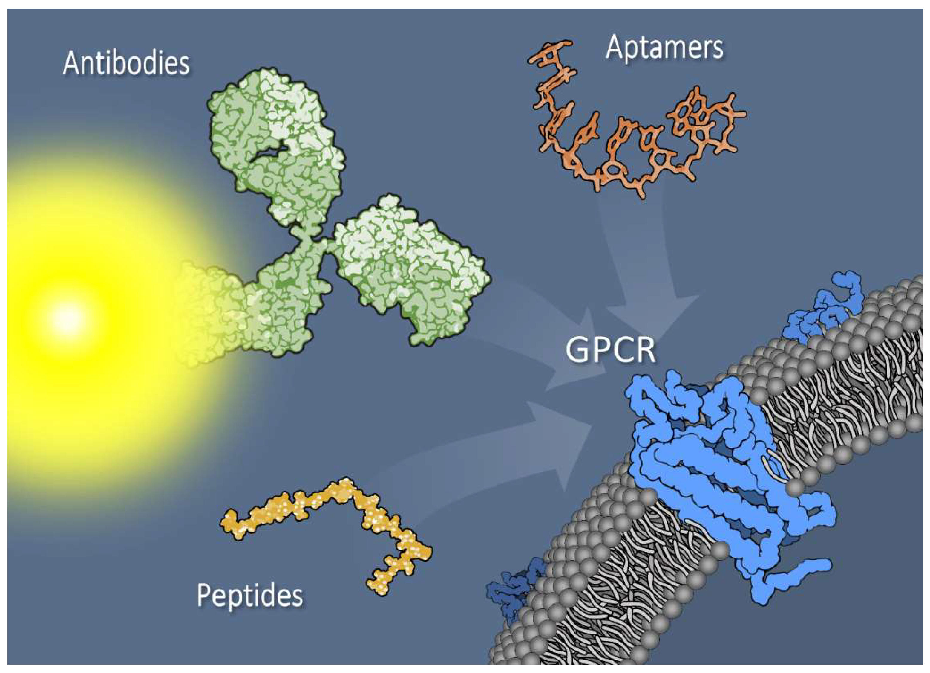 Biomedicines 06 00065 g001
