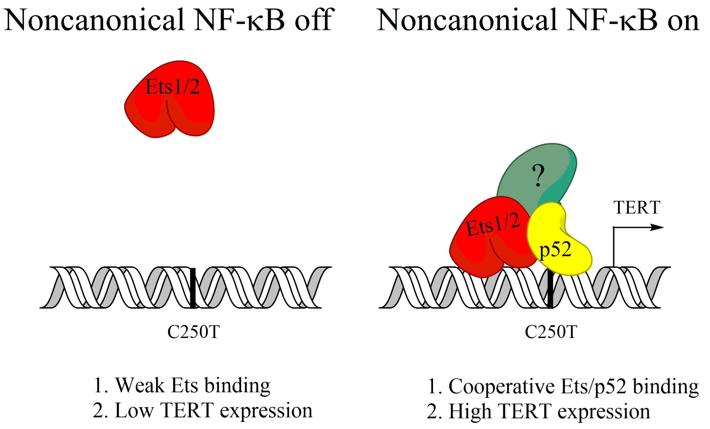 Biomedicines 06 00066 g002