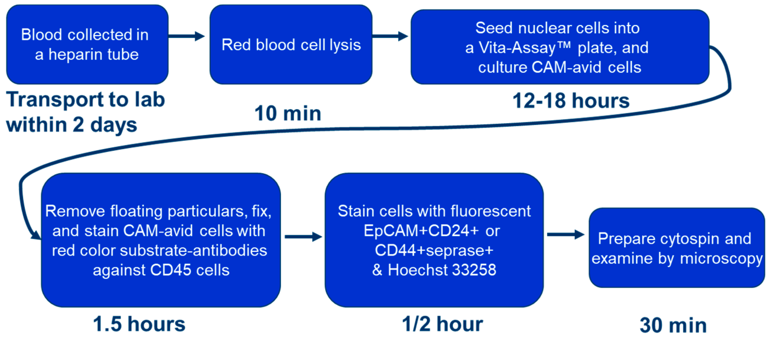 Biomedicines 06 00069 g001
