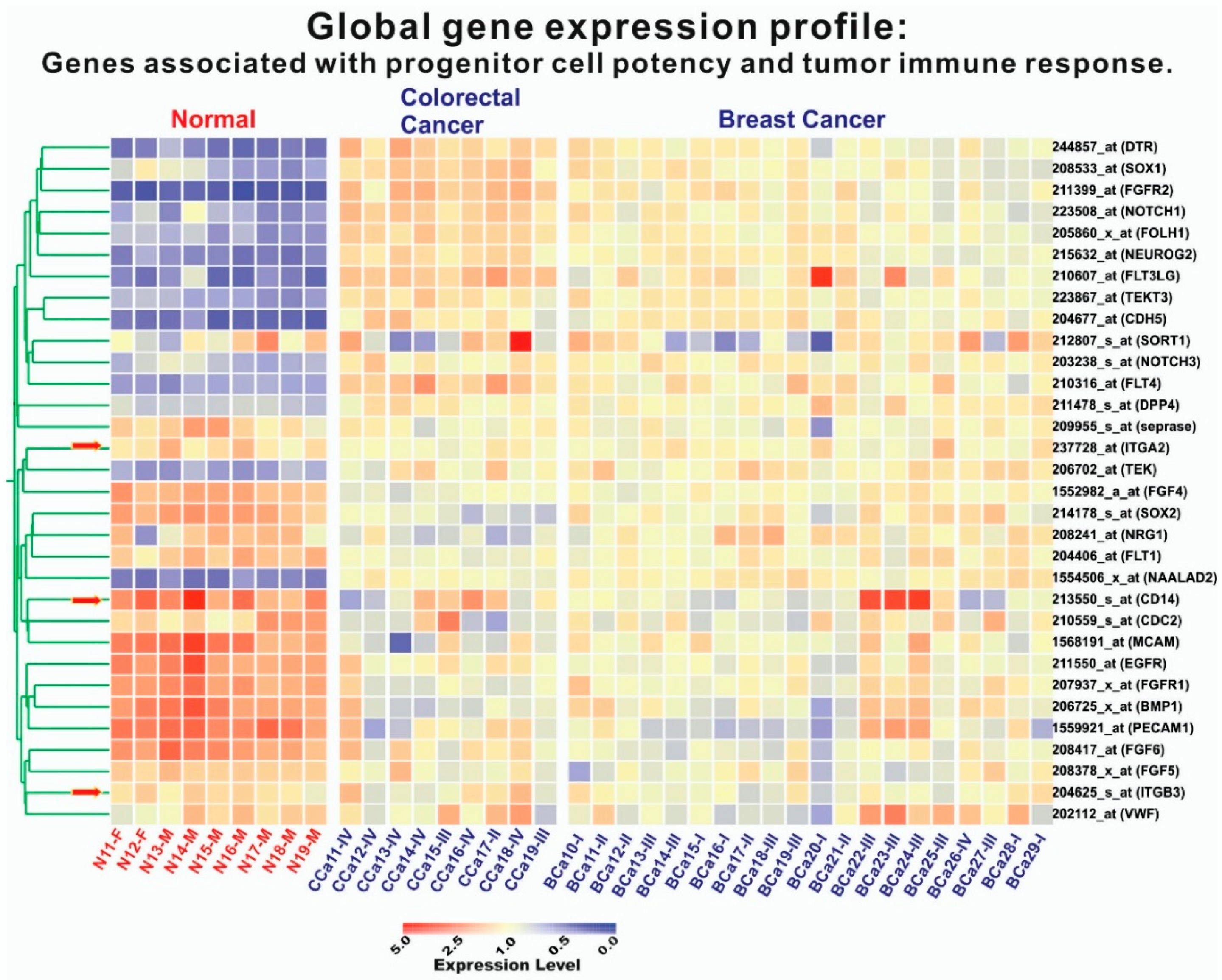 Biomedicines 06 00069 g006