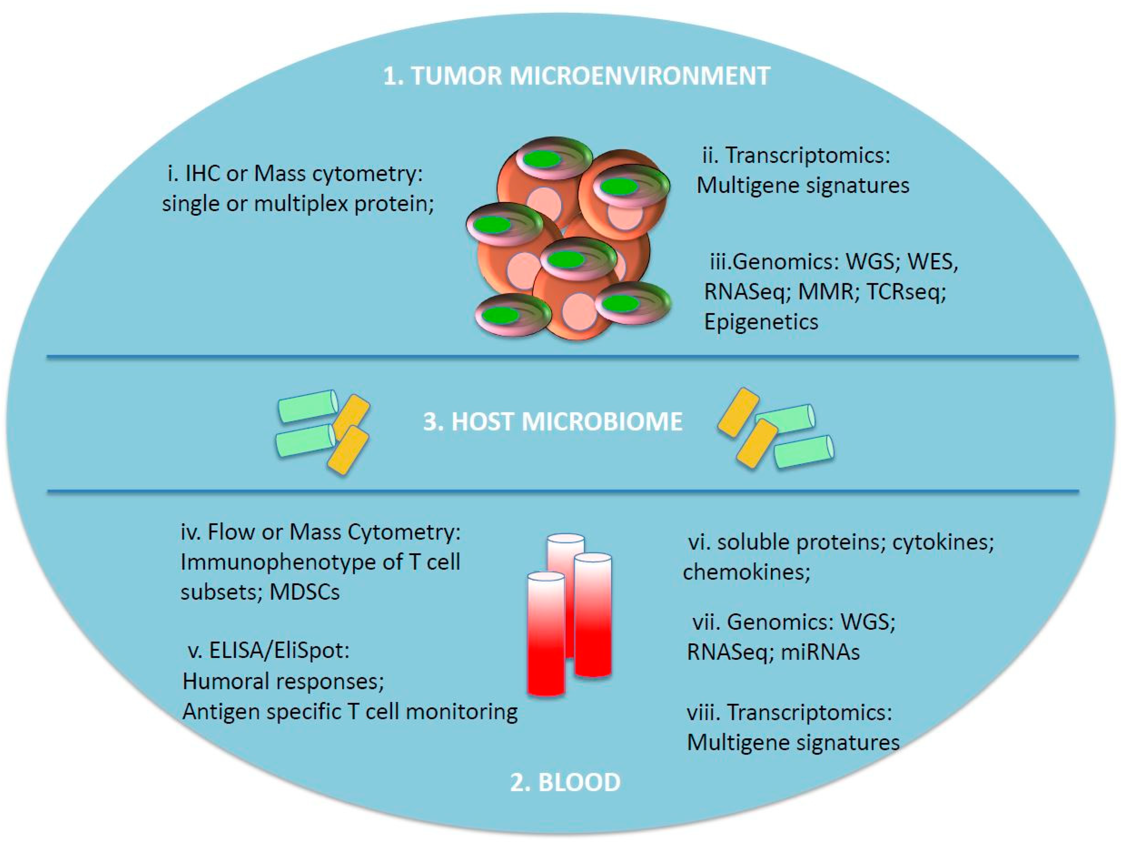 Biomedicines 06 00076 g001