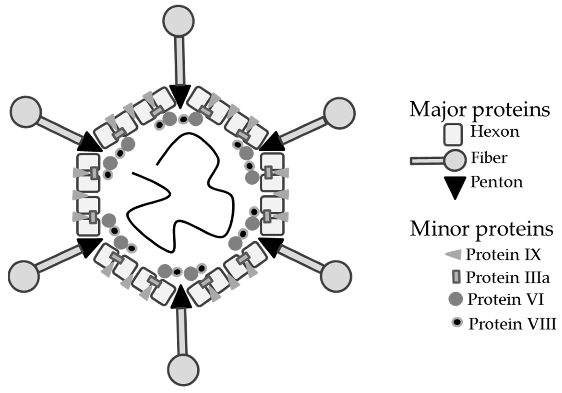 Biomedicines 06 00081 g001 Biomedicines 06 00081 g001