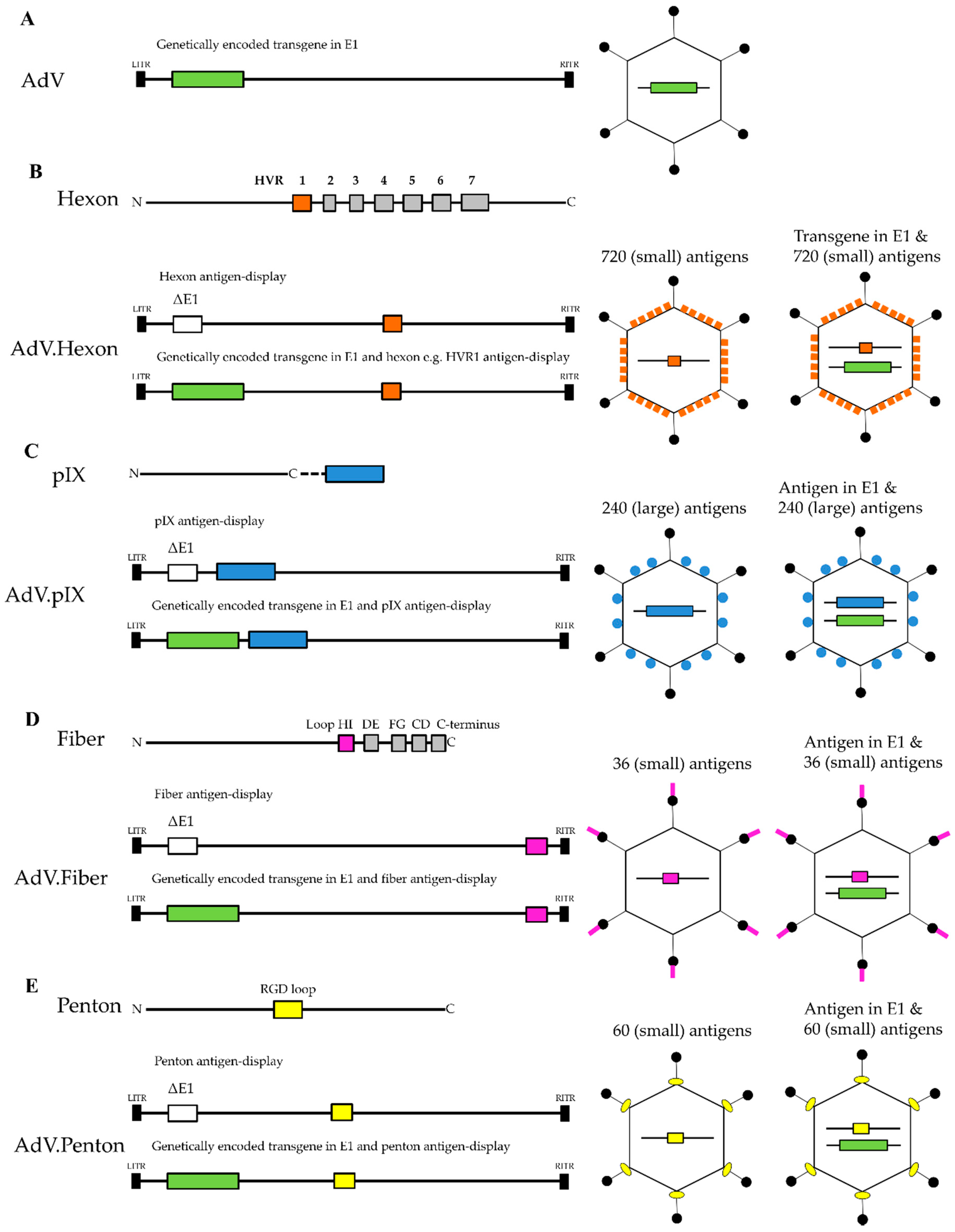 Biomedicines 06 00081 g002 Biomedicines 06 00081 g002