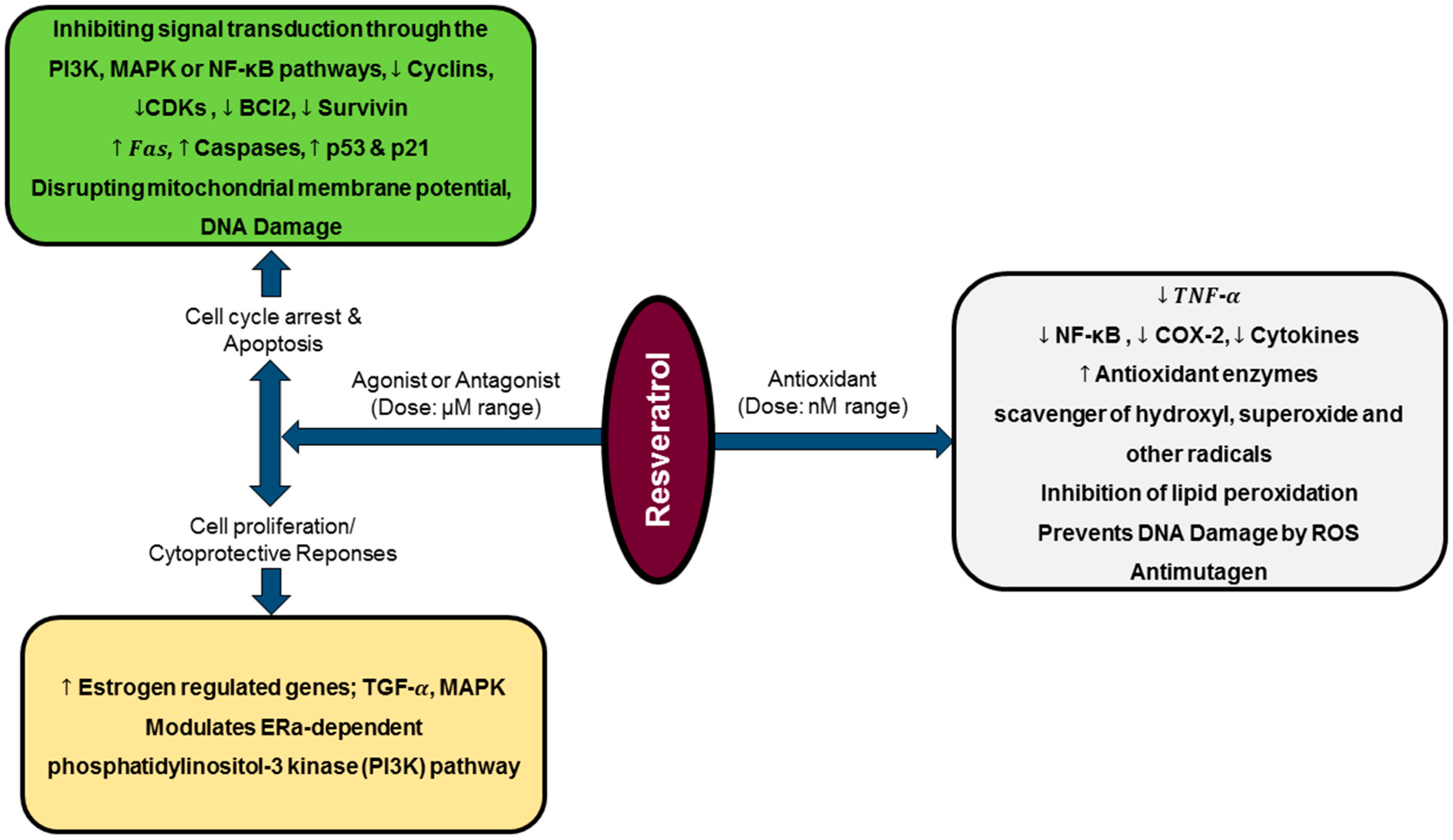 Biomedicines 06 00091 g002