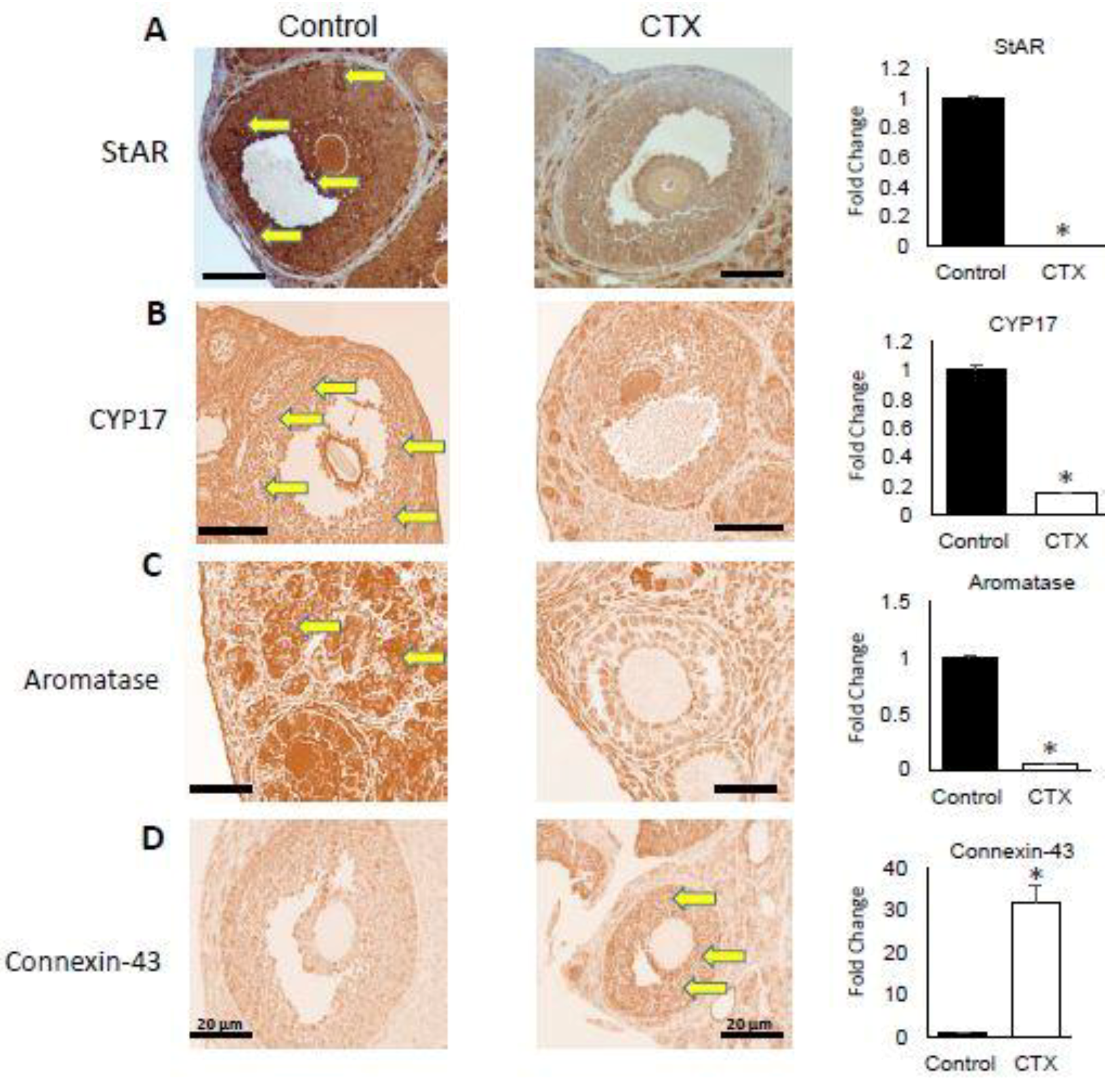 Biomedicines 06 00093 g003