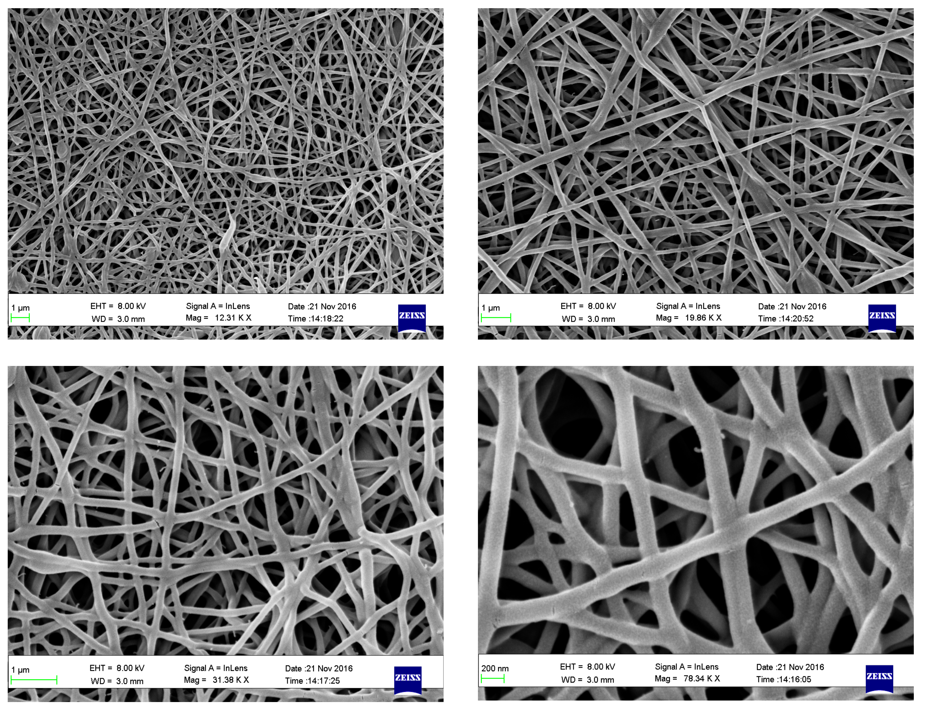 Biomedicines 06 00096 g006