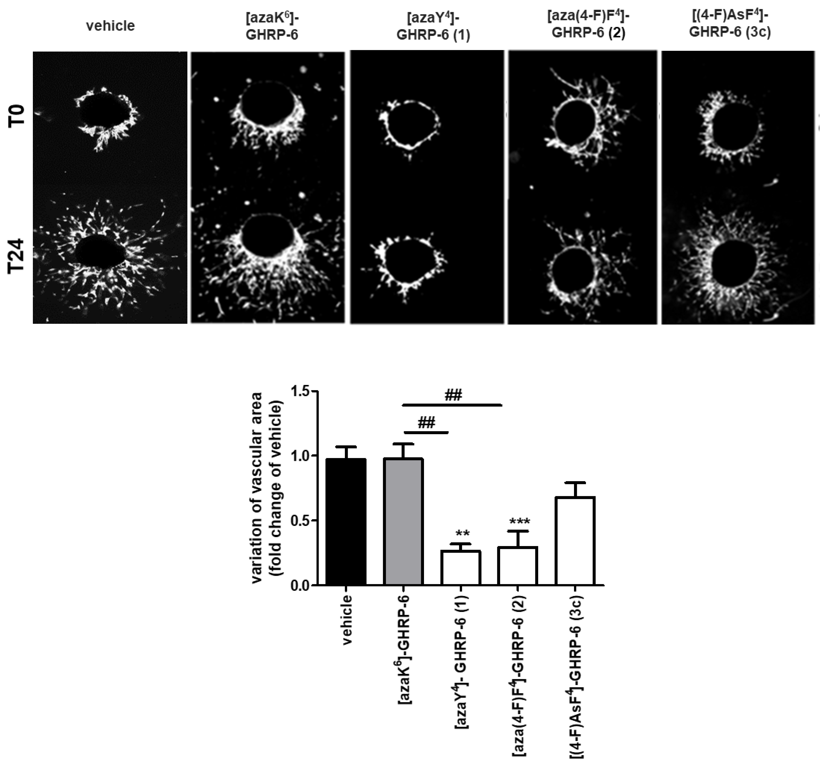 Biomedicines 06 00098 g005